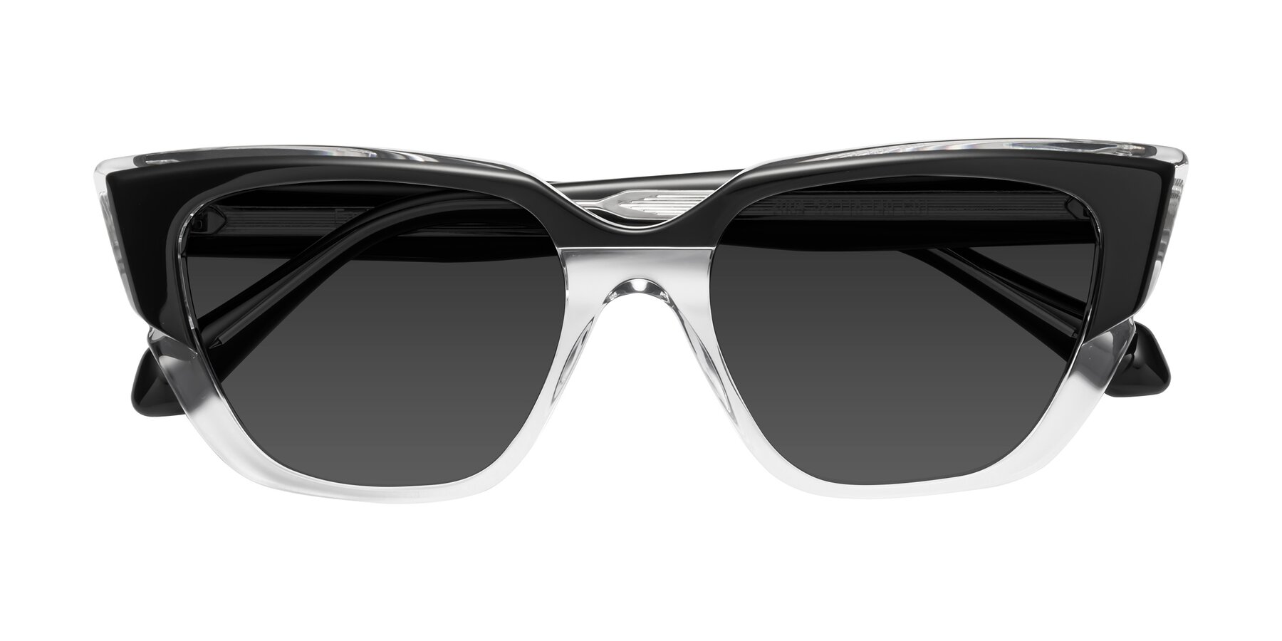 Folded Front of Eagle in Black-Clear with Gray Tinted Lenses