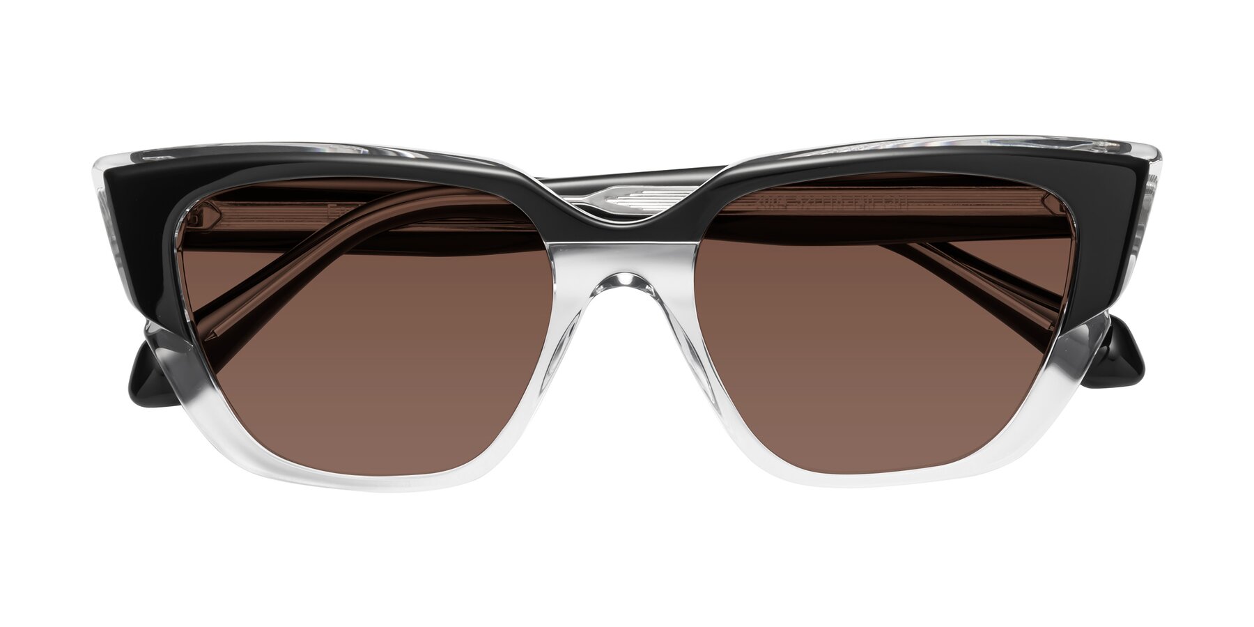Folded Front of Eagle in Black-Clear with Brown Tinted Lenses