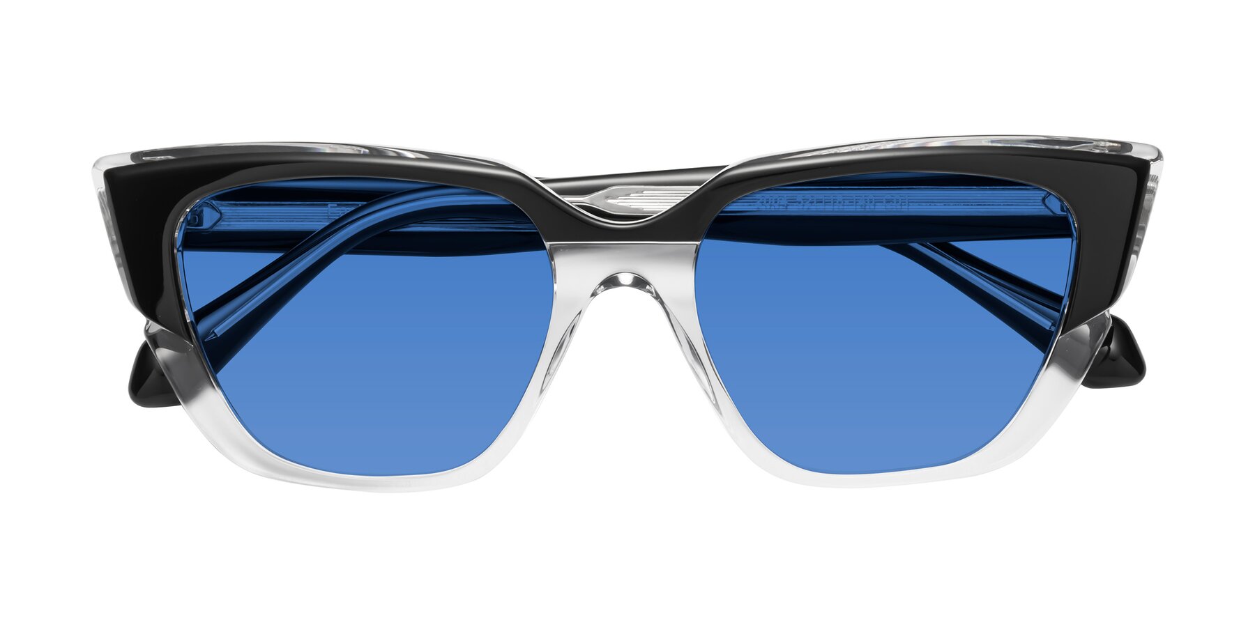 Folded Front of Eagle in Black-Clear with Blue Tinted Lenses
