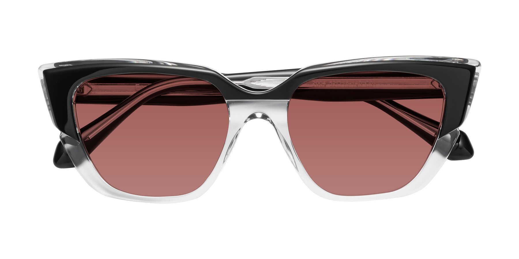 Folded Front of Eagle in Black-Clear with Garnet Tinted Lenses