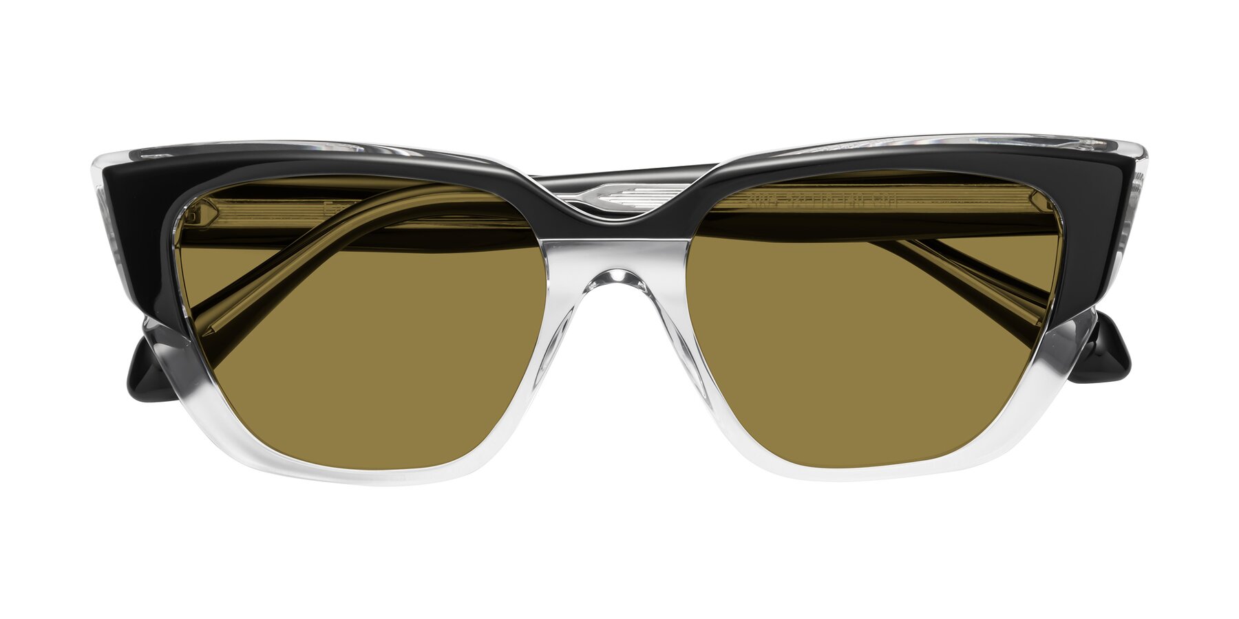 Folded Front of Eagle in Black-Clear with Brown Polarized Lenses