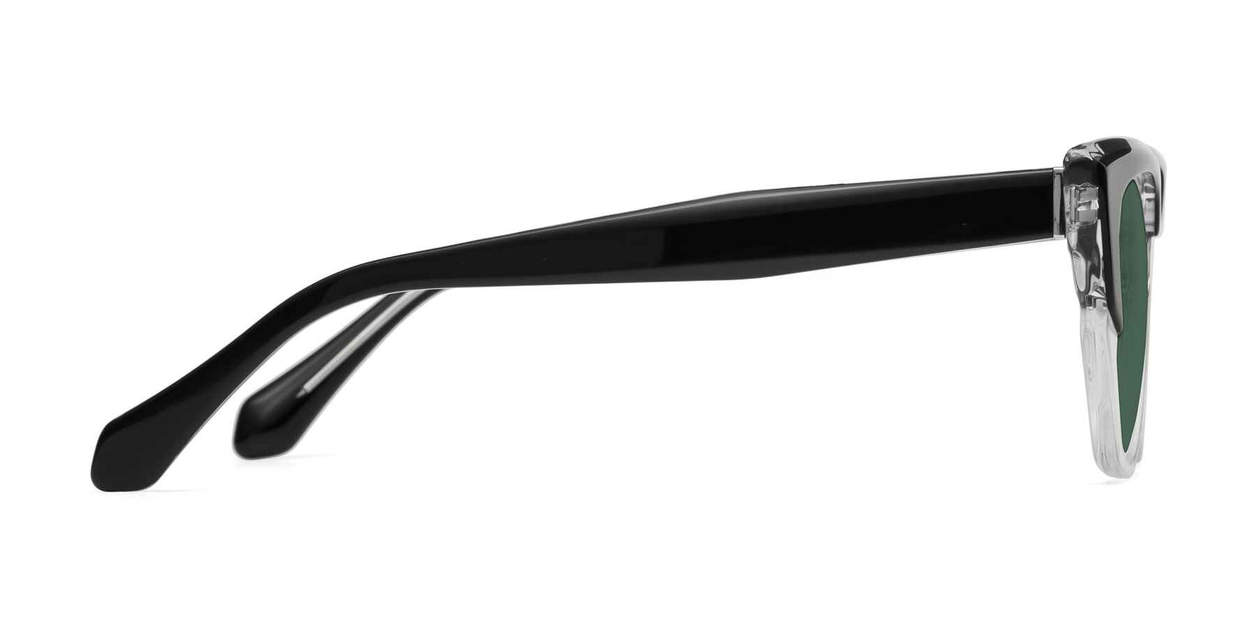 Side of Eagle in Black-Clear with Green Polarized Lenses