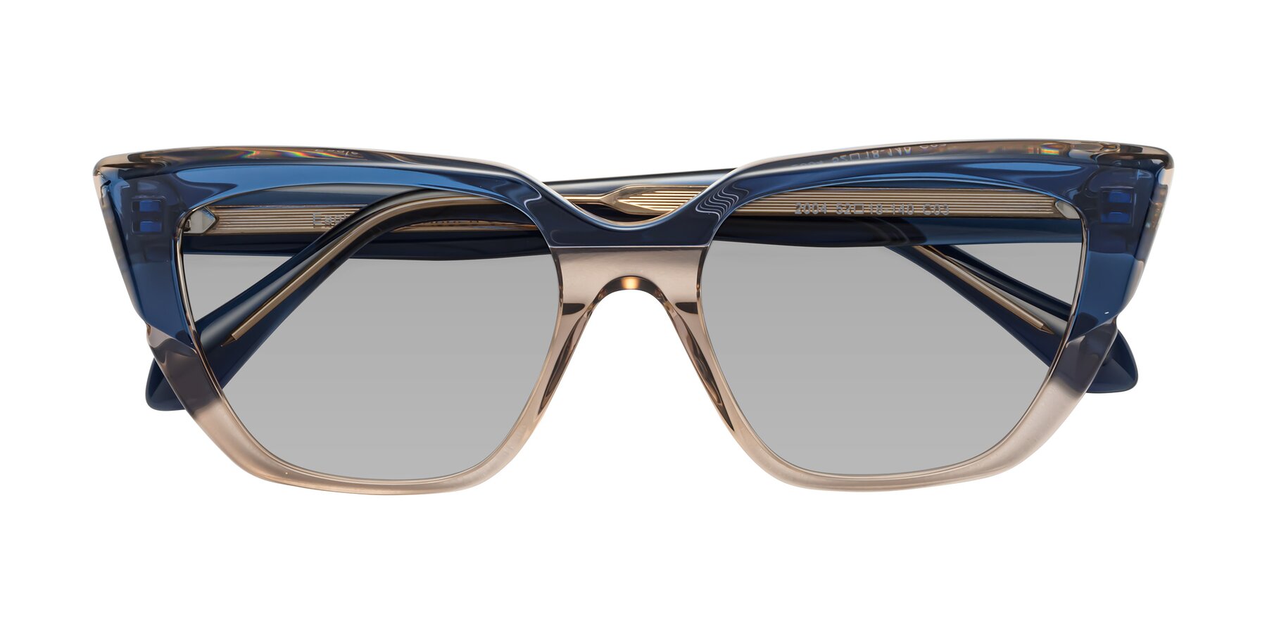 Folded Front of Eagle in Blue-Beige with Light Gray Tinted Lenses