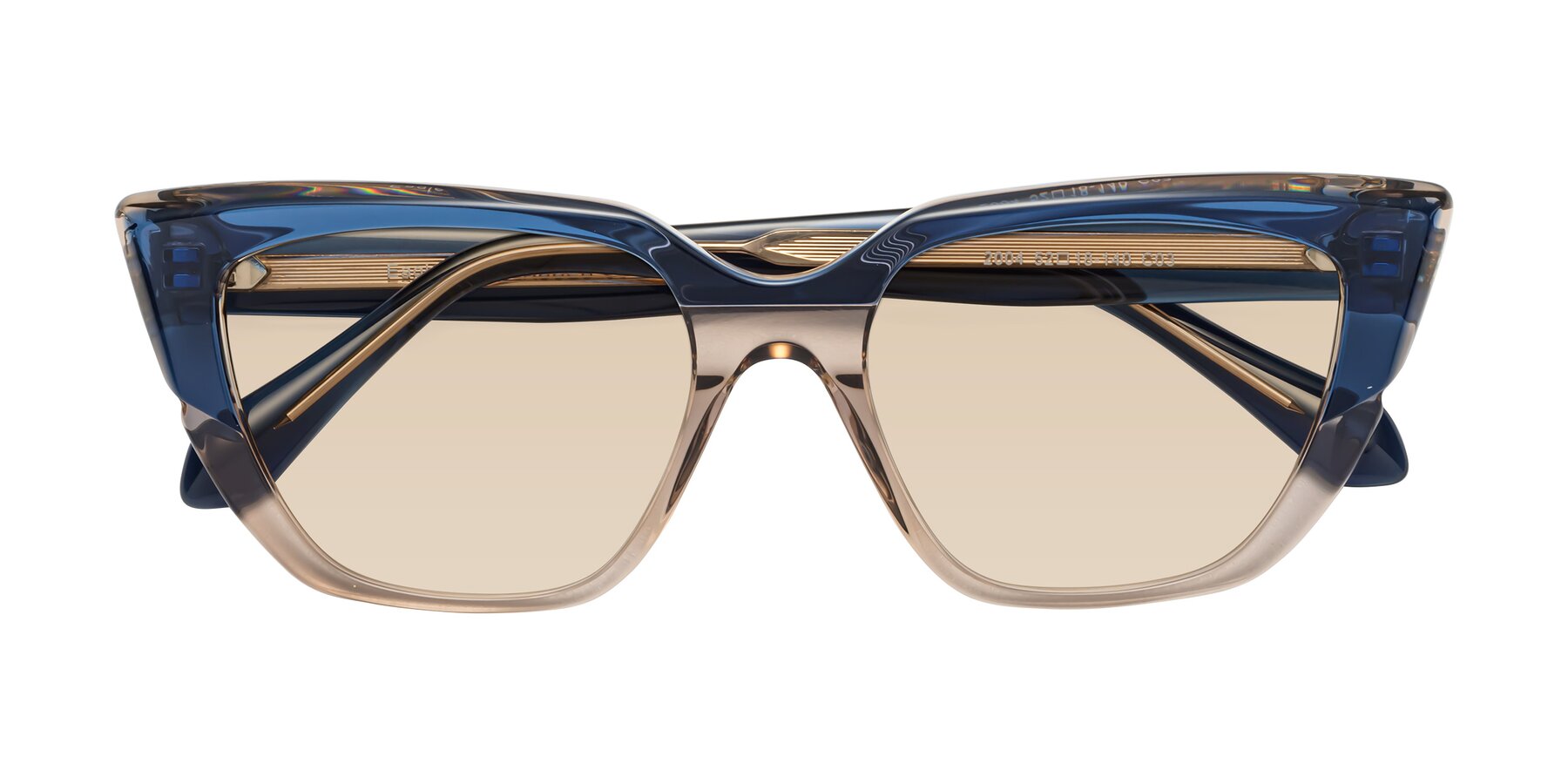 Folded Front of Eagle in Blue-Beige with Light Brown Tinted Lenses