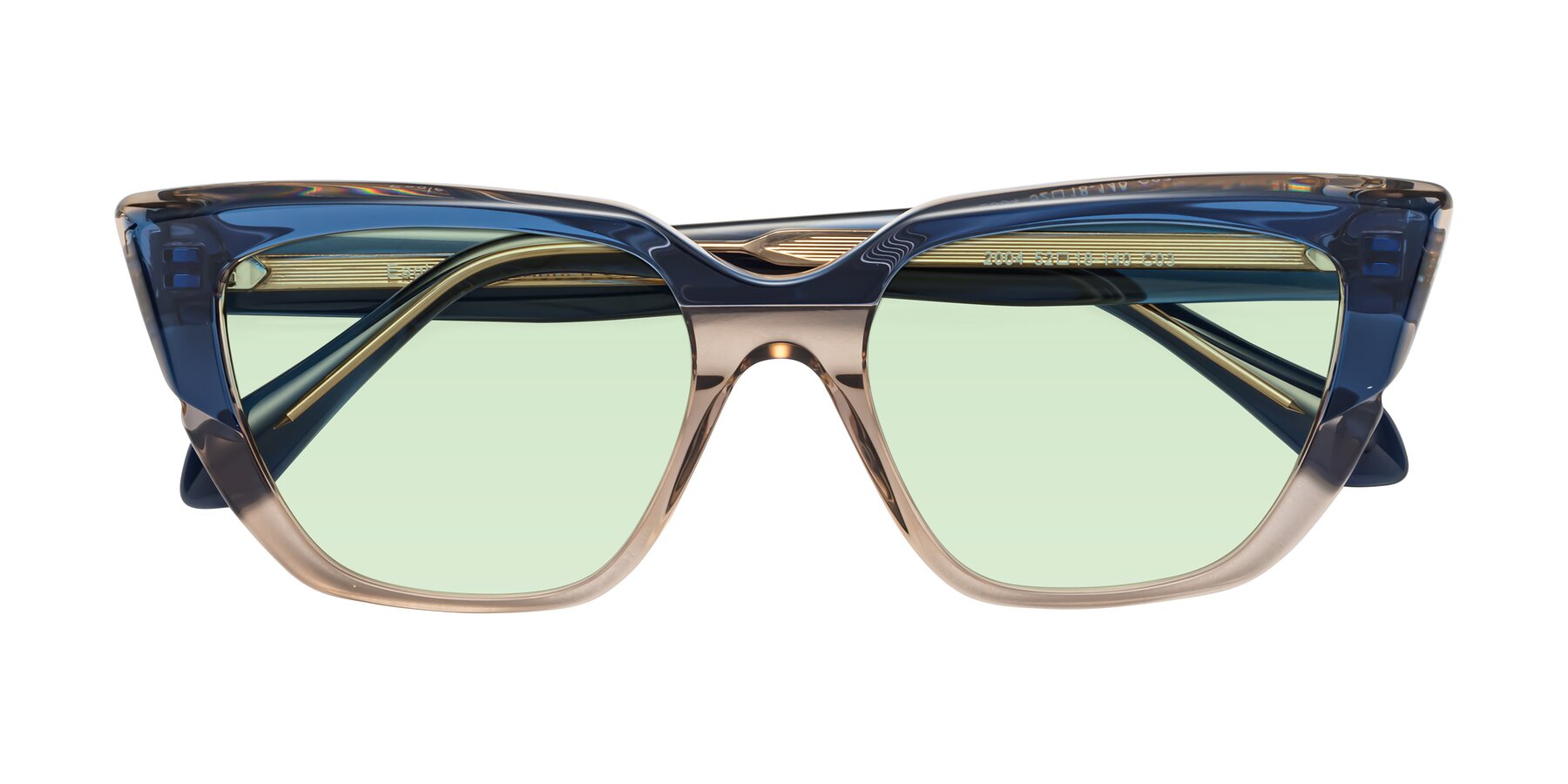 Folded Front of Eagle in Blue-Beige with Light Green Tinted Lenses