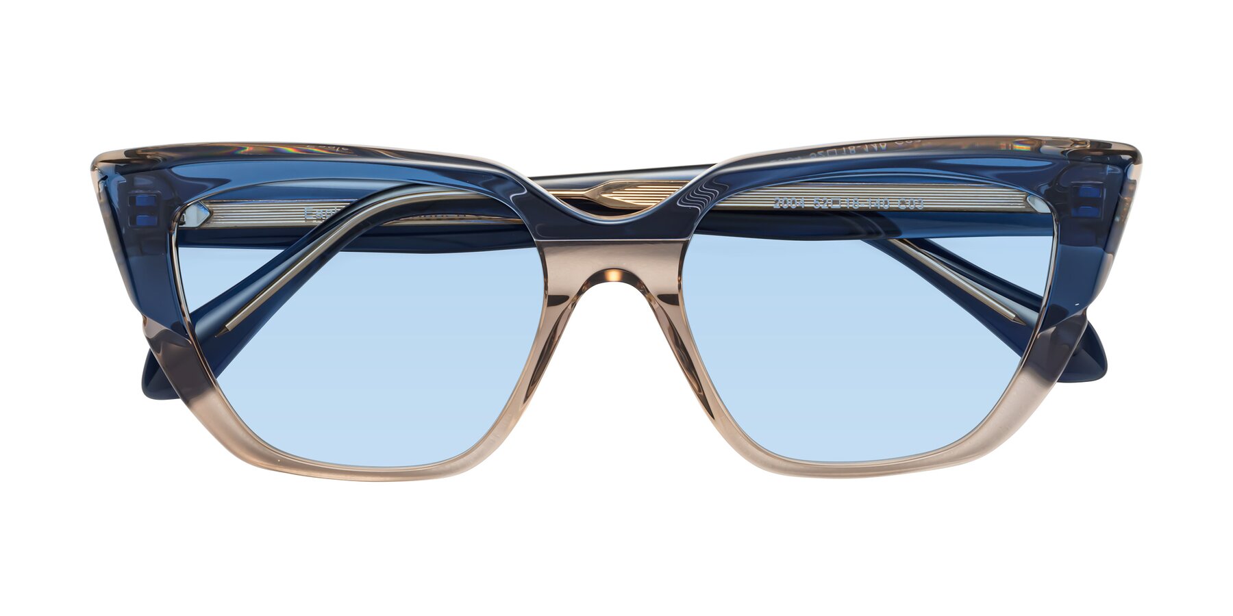 Folded Front of Eagle in Blue-Beige with Light Blue Tinted Lenses