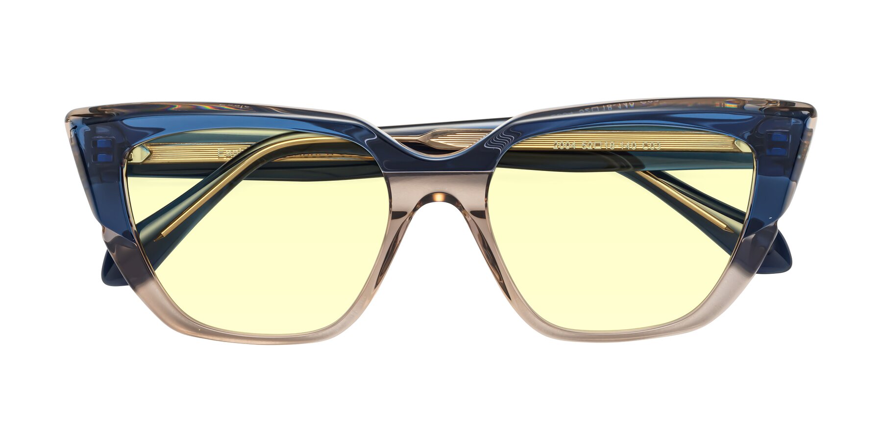 Folded Front of Eagle in Blue-Beige with Light Yellow Tinted Lenses