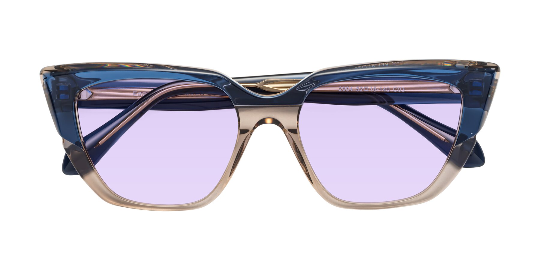 Folded Front of Eagle in Blue-Beige with Light Purple Tinted Lenses