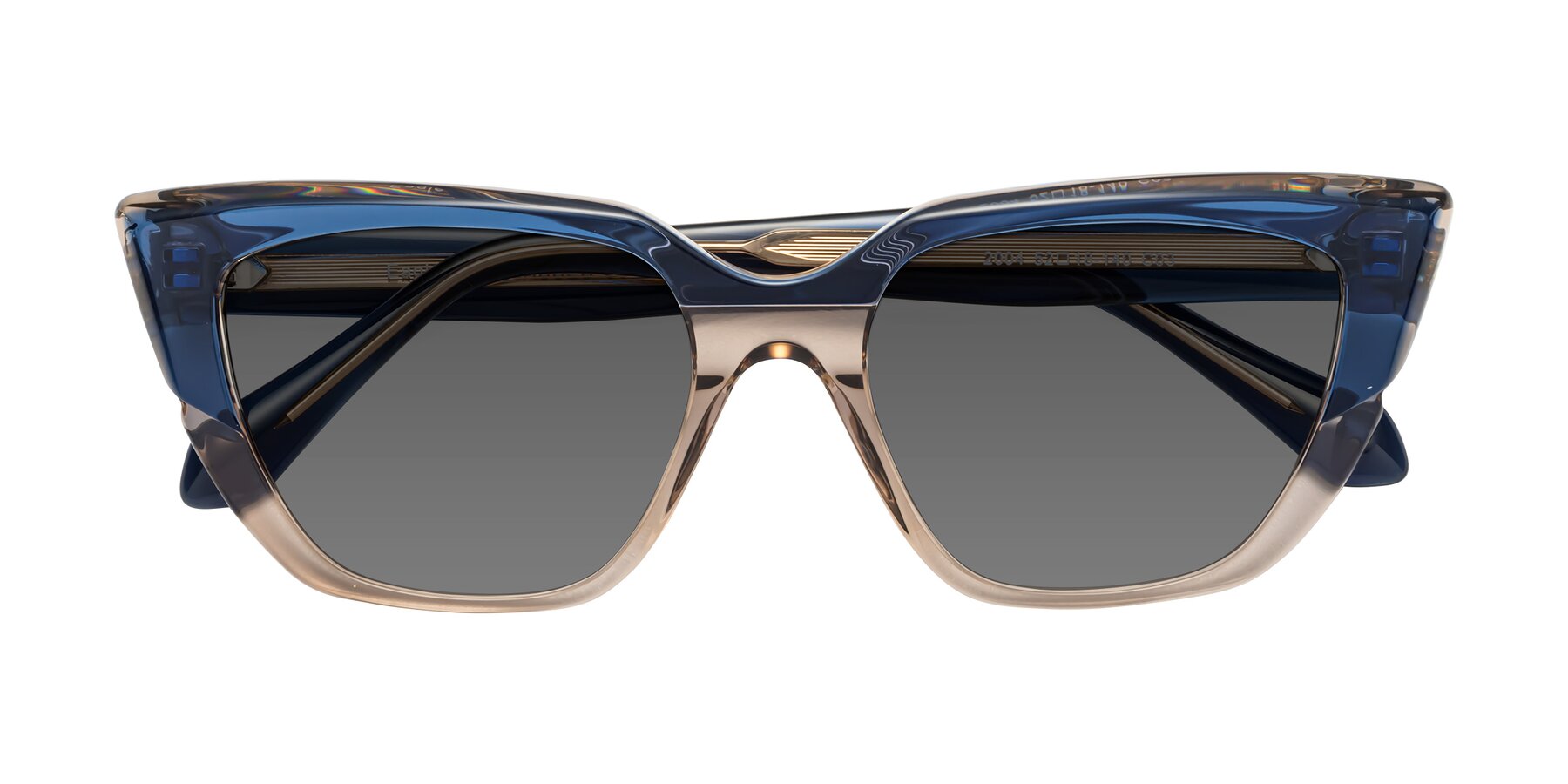 Folded Front of Eagle in Blue-Beige with Medium Gray Tinted Lenses