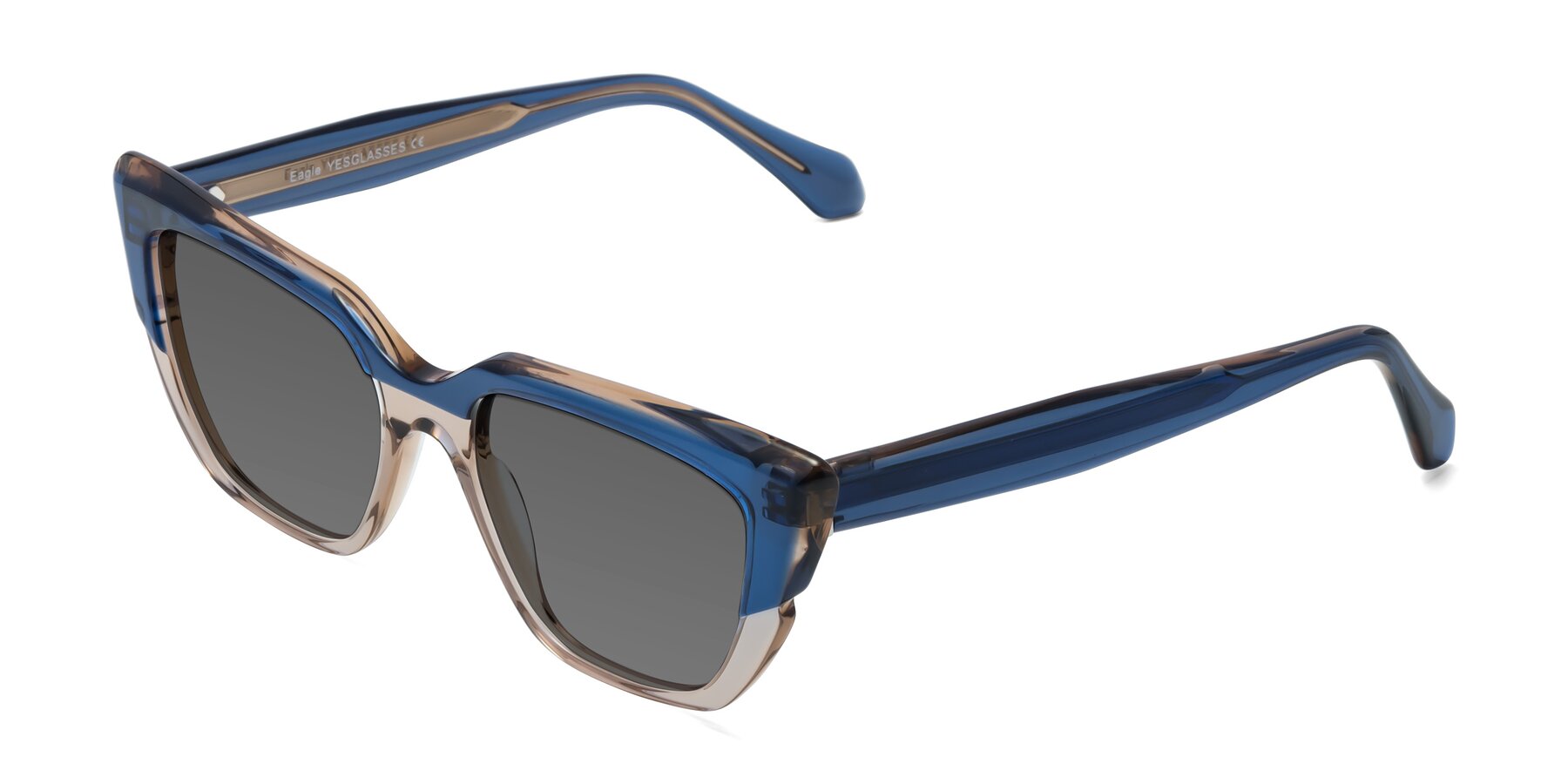Angle of Eagle in Blue-Beige with Medium Gray Tinted Lenses