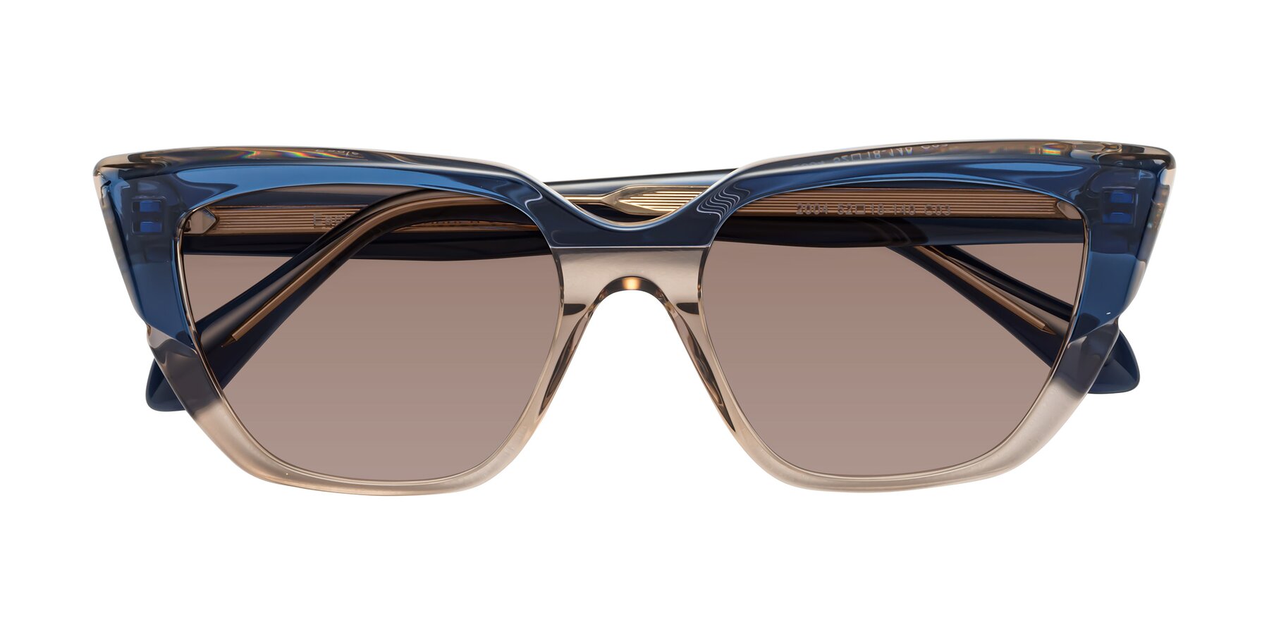Folded Front of Eagle in Blue-Beige with Medium Brown Tinted Lenses
