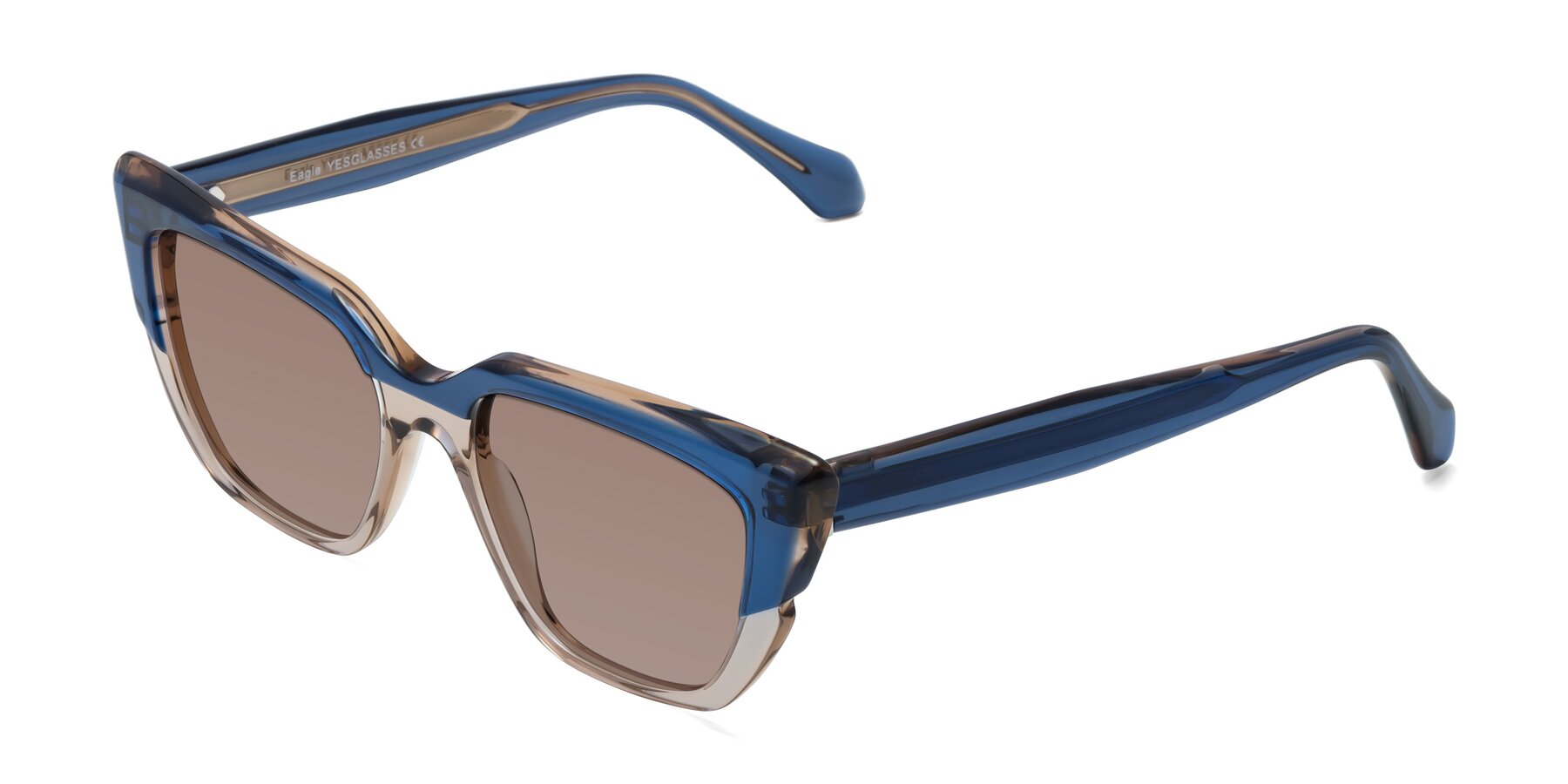 Angle of Eagle in Blue-Beige with Medium Brown Tinted Lenses