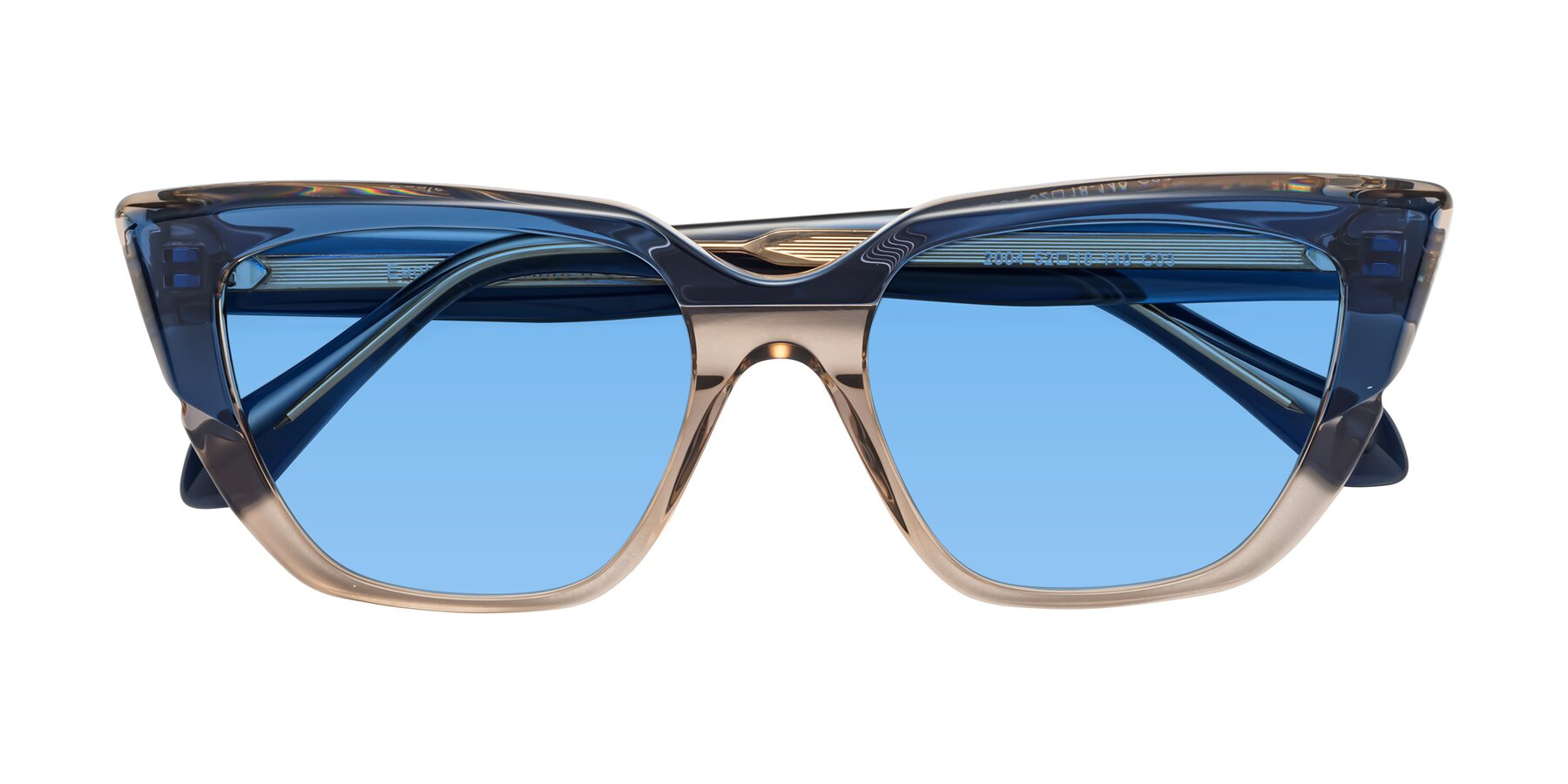 Folded Front of Eagle in Blue-Beige with Medium Blue Tinted Lenses