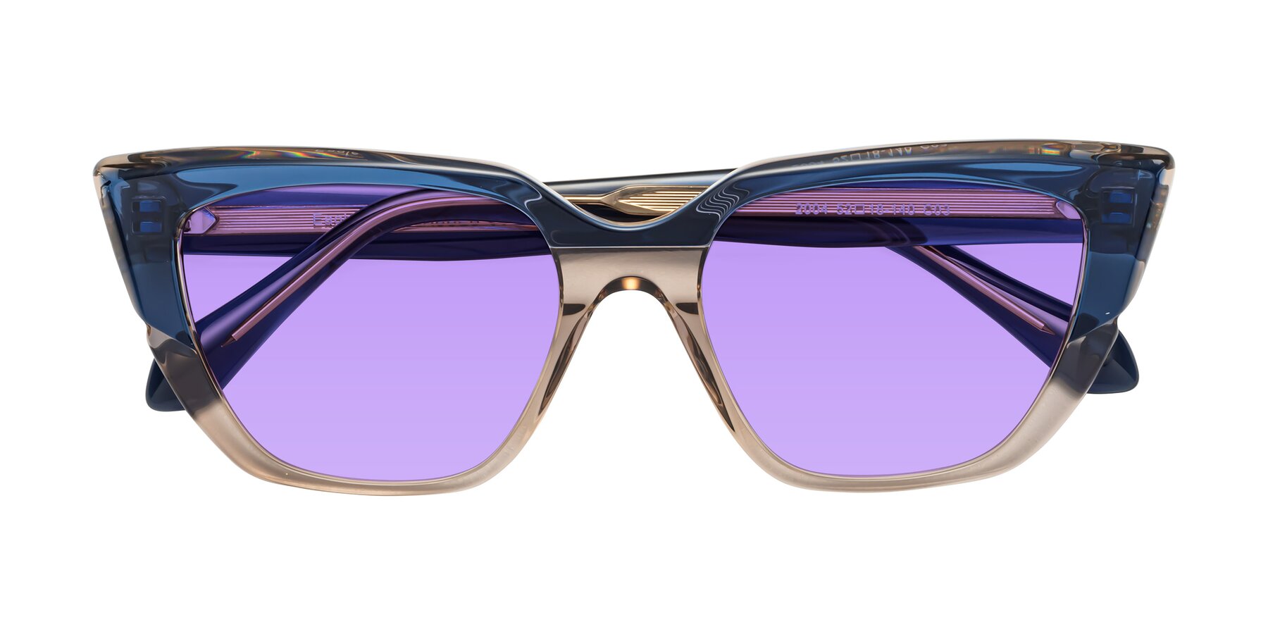 Folded Front of Eagle in Blue-Beige with Medium Purple Tinted Lenses