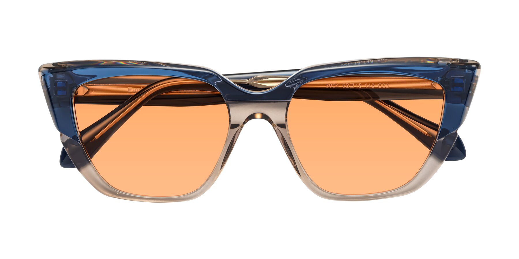 Folded Front of Eagle in Blue-Beige with Medium Orange Tinted Lenses