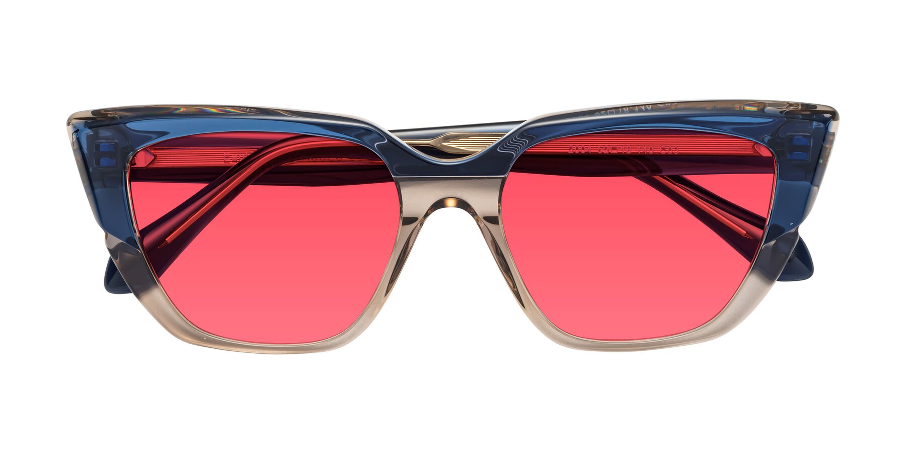Folded Front of Eagle in Blue-Beige with Red Tinted Lenses
