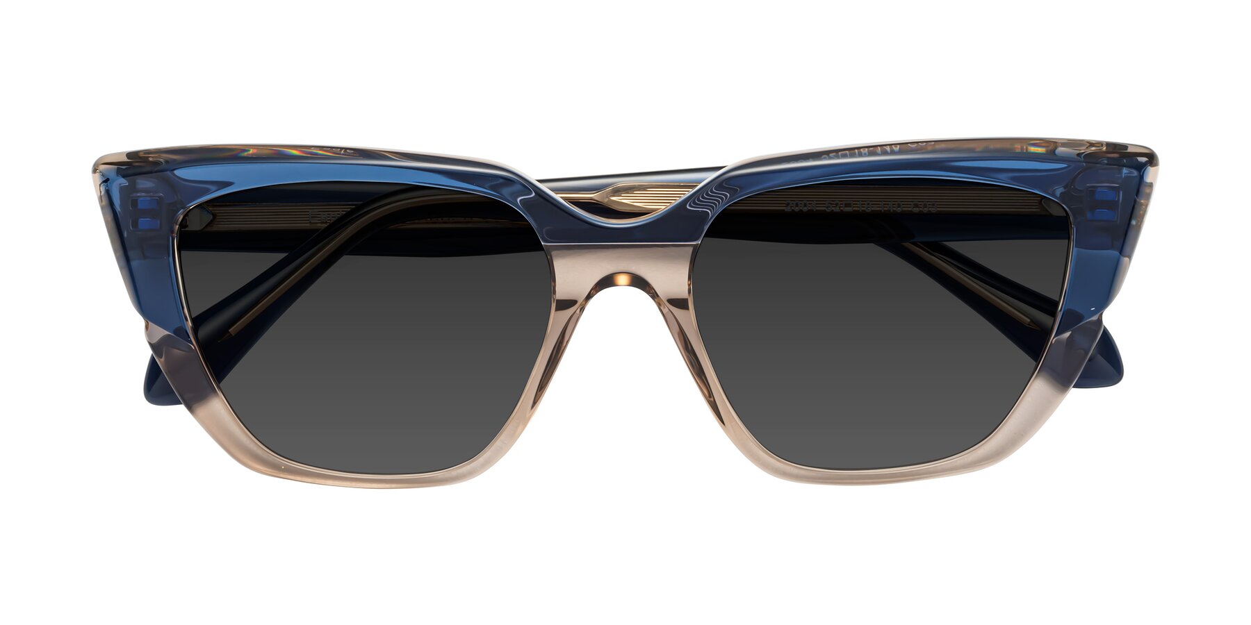 Folded Front of Eagle in Blue-Beige with Gray Tinted Lenses