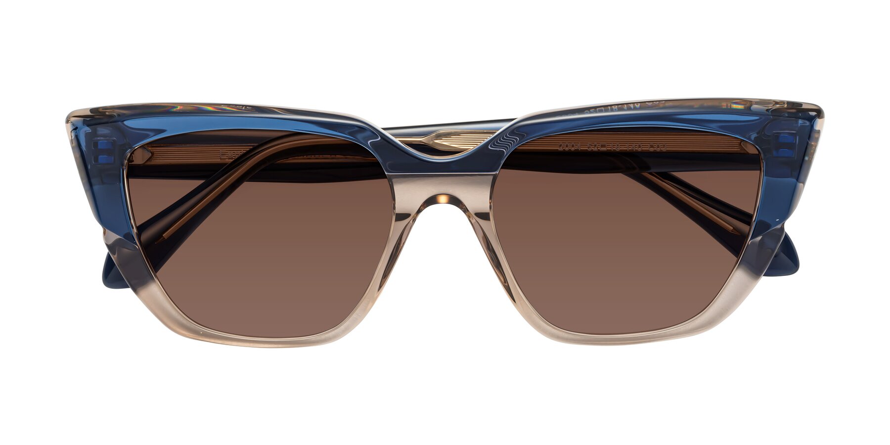 Folded Front of Eagle in Blue-Beige with Brown Tinted Lenses