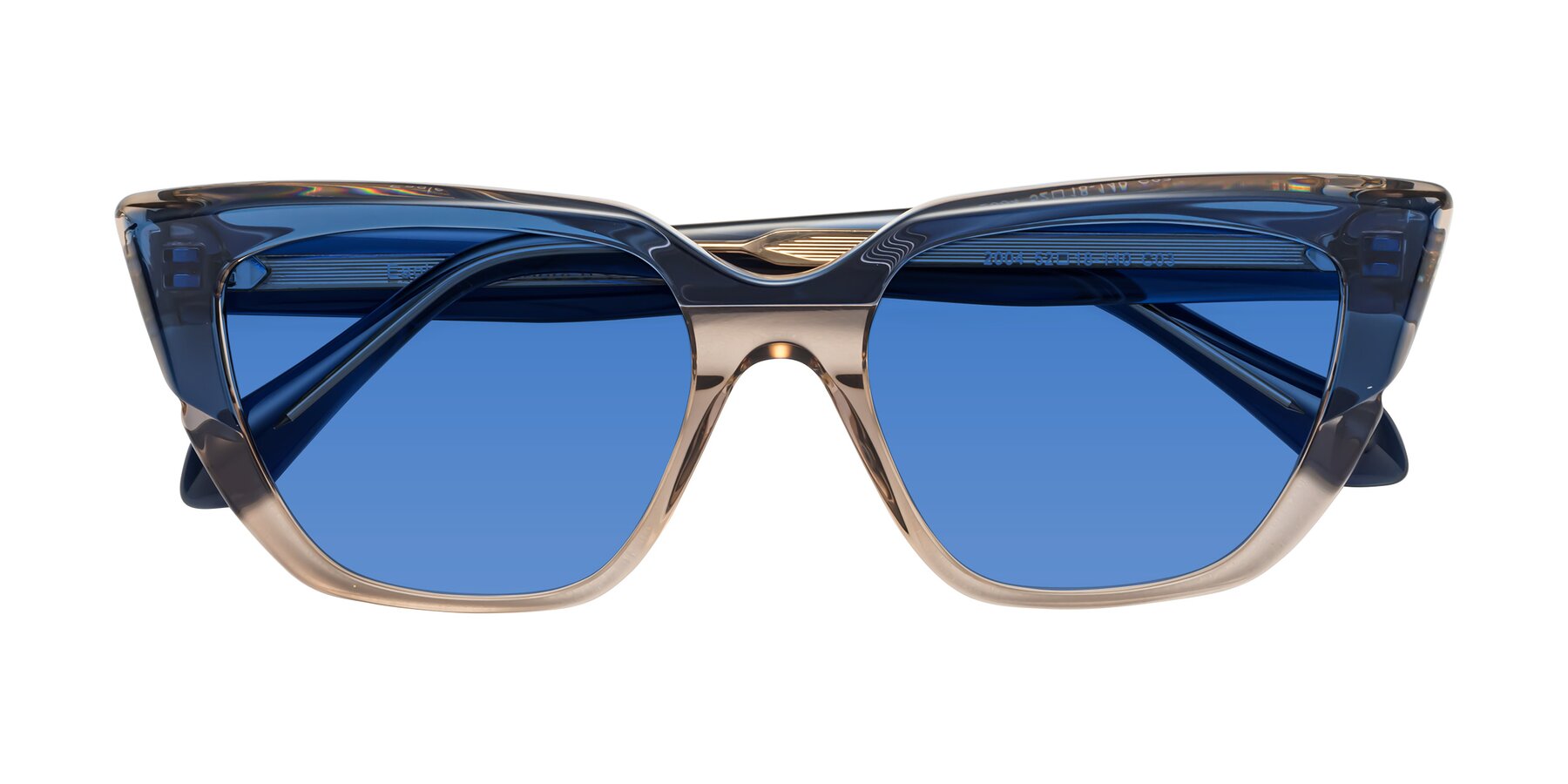 Folded Front of Eagle in Blue-Beige with Blue Tinted Lenses