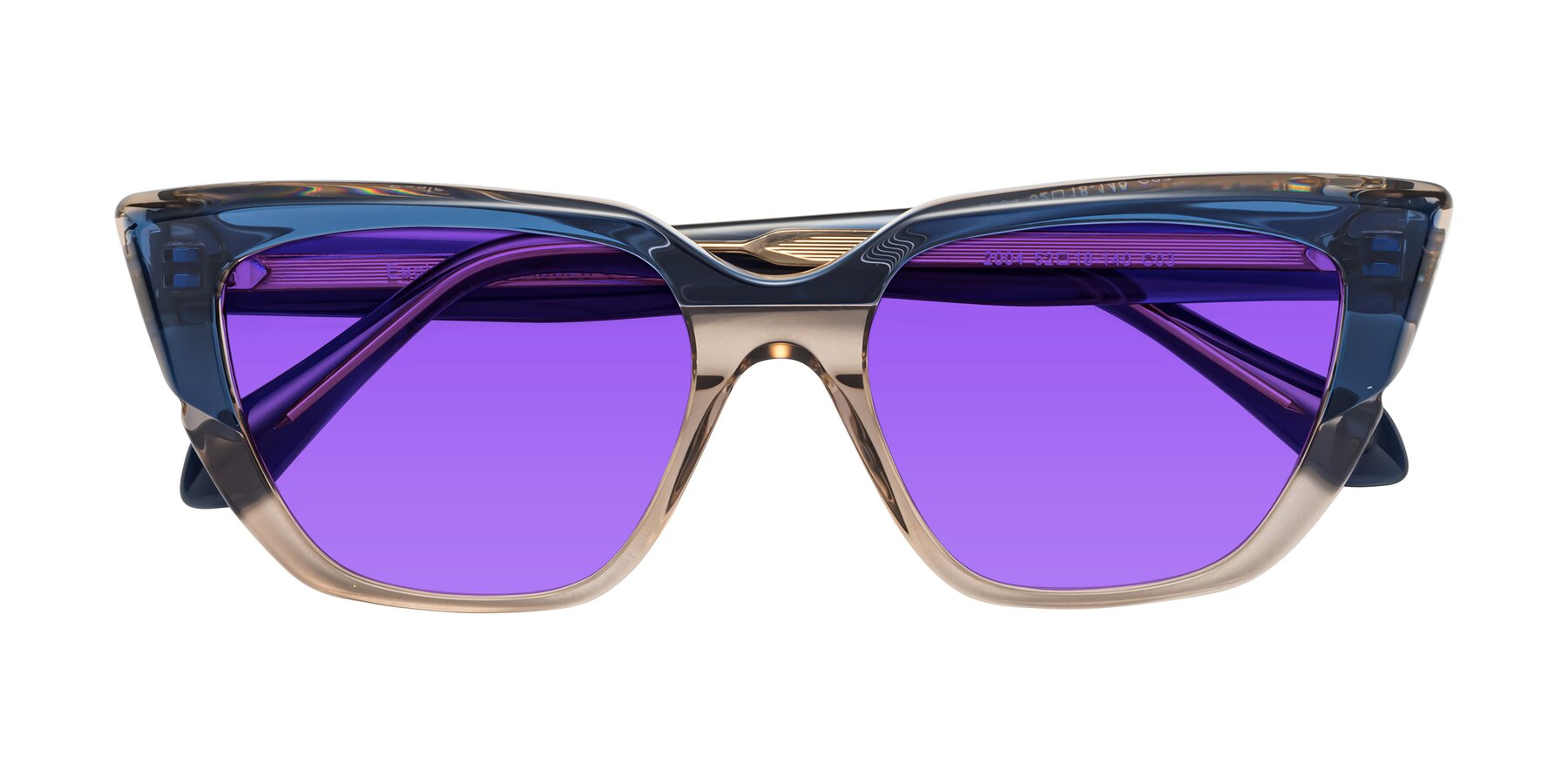 Folded Front of Eagle in Blue-Beige with Purple Tinted Lenses