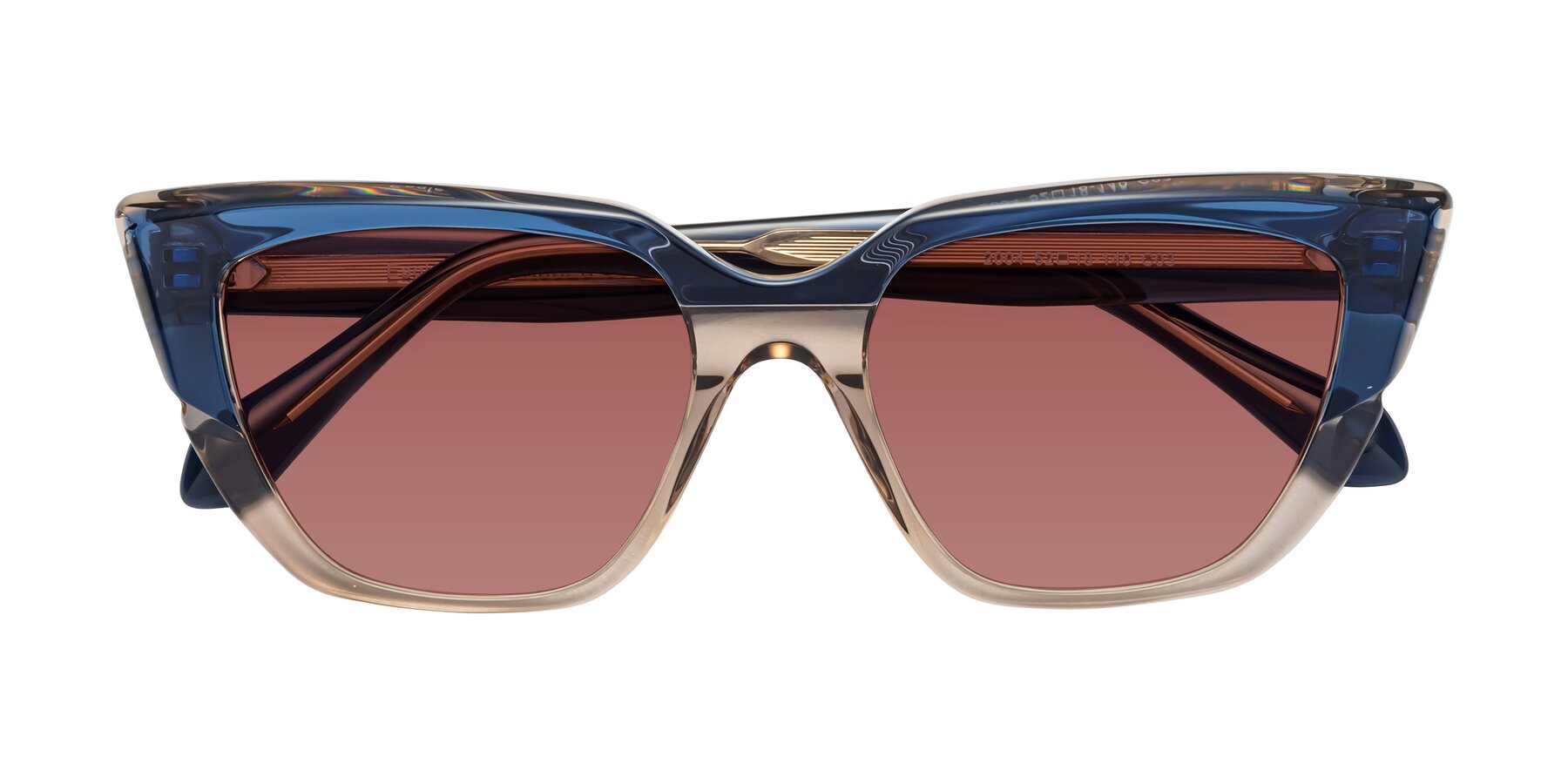 Folded Front of Eagle in Blue-Beige with Garnet Tinted Lenses