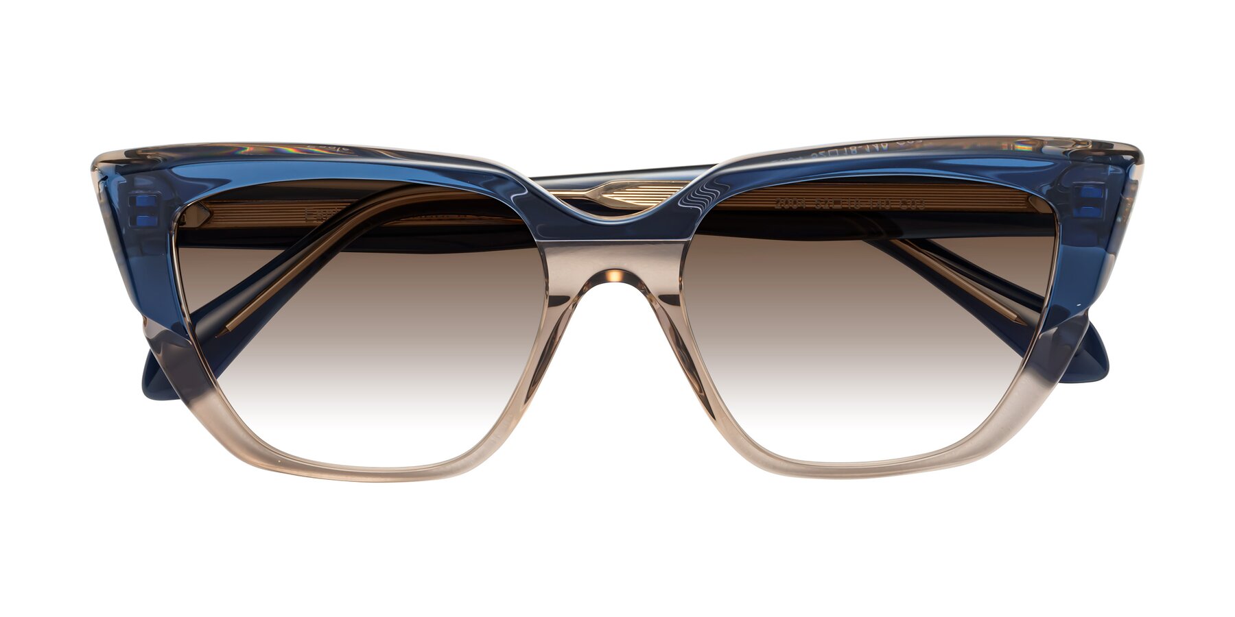 Folded Front of Eagle in Blue-Beige with Brown Gradient Lenses