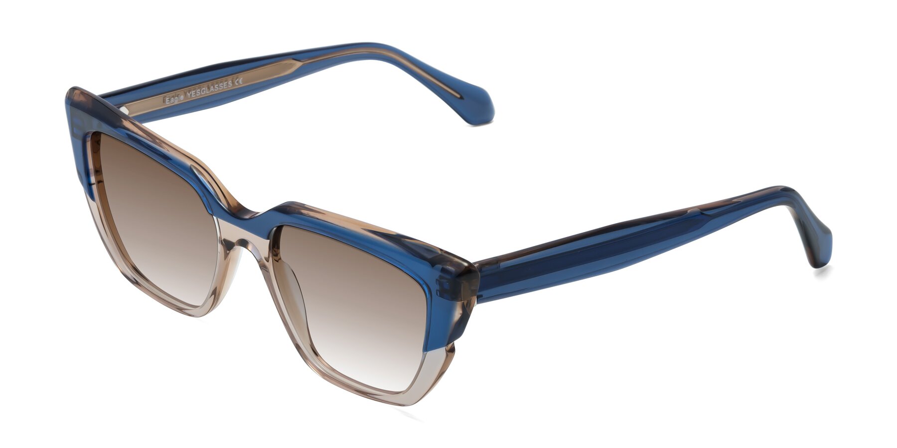 Angle of Eagle in Blue-Beige with Brown Gradient Lenses