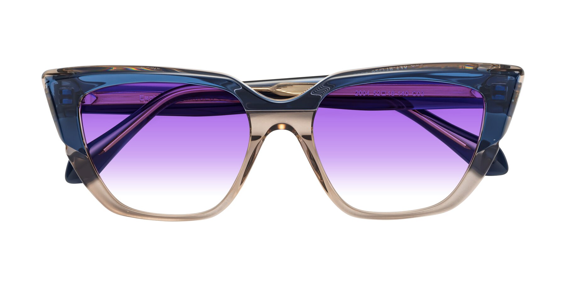 Folded Front of Eagle in Blue-Beige with Purple Gradient Lenses