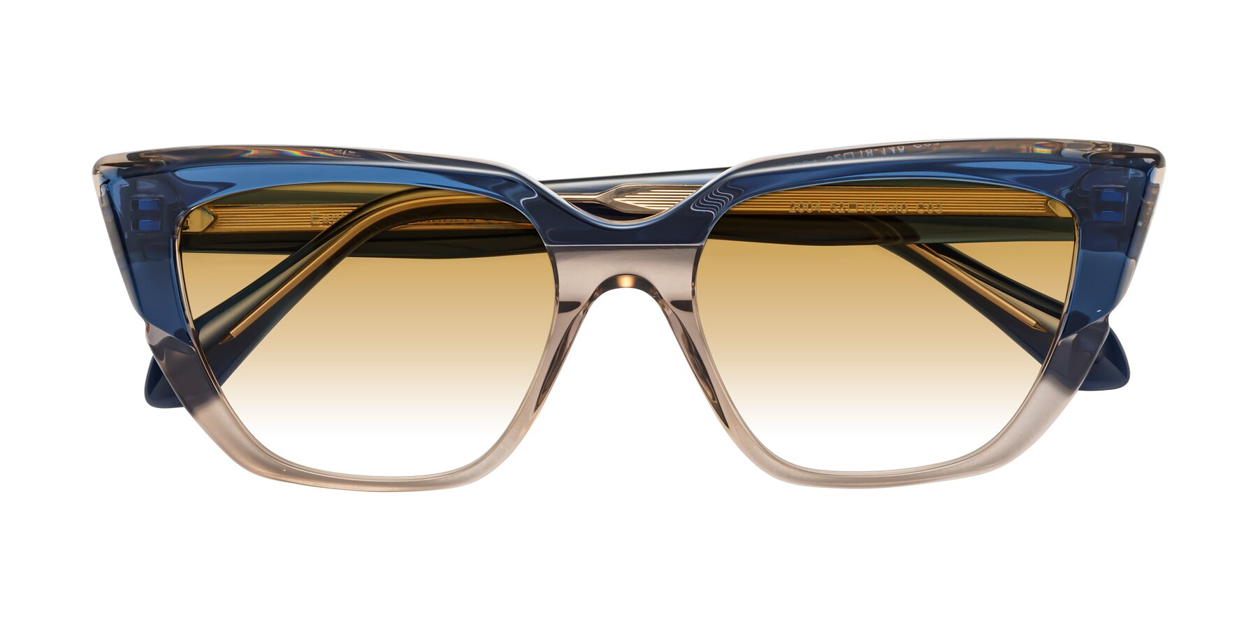 Folded Front of Eagle in Blue-Beige with Champagne Gradient Lenses