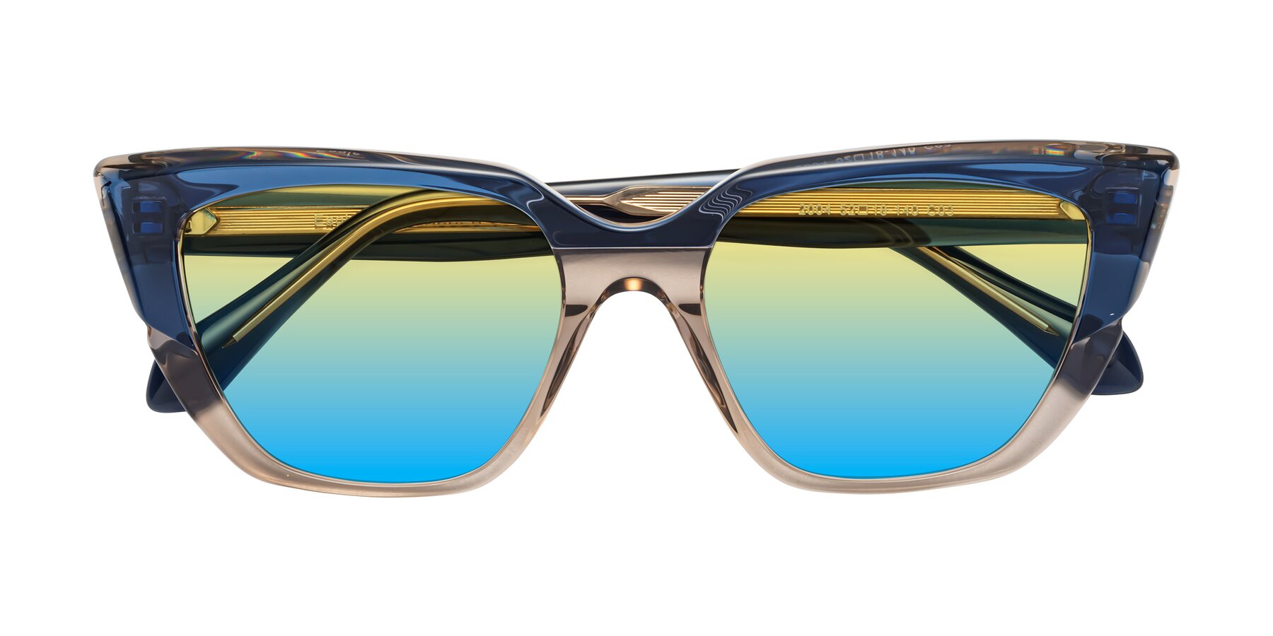 Folded Front of Eagle in Blue-Beige with Yellow / Blue Gradient Lenses