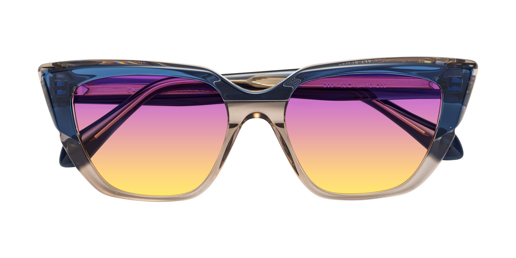 Folded Front of Eagle in Blue-Beige with Purple / Yellow Gradient Lenses
