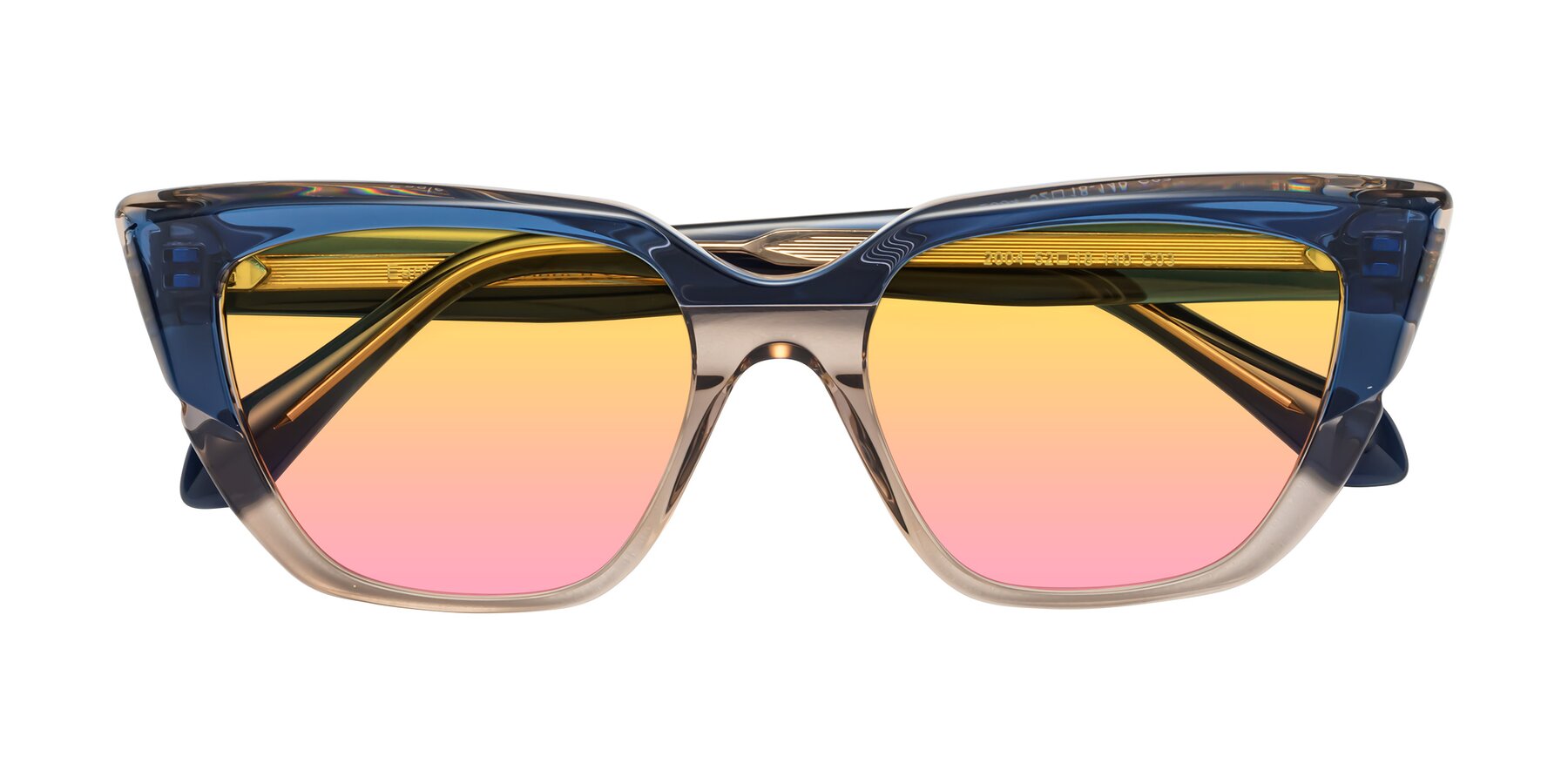 Folded Front of Eagle in Blue-Beige with Yellow / Pink Gradient Lenses