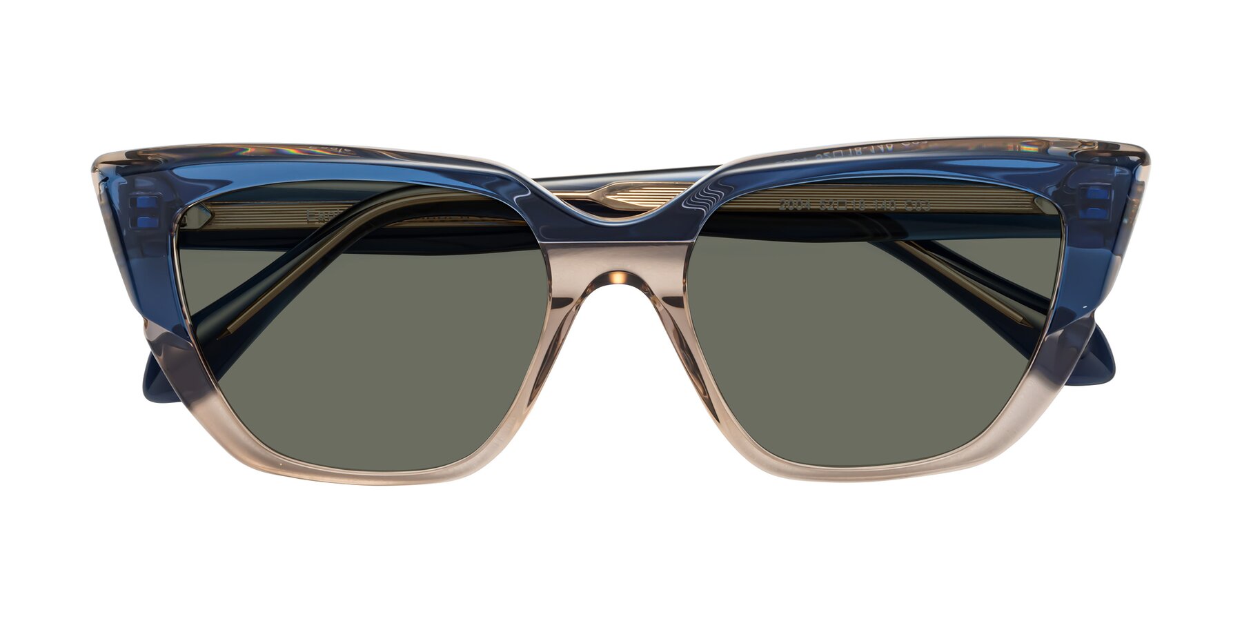 Folded Front of Eagle in Blue-Beige with Gray Polarized Lenses