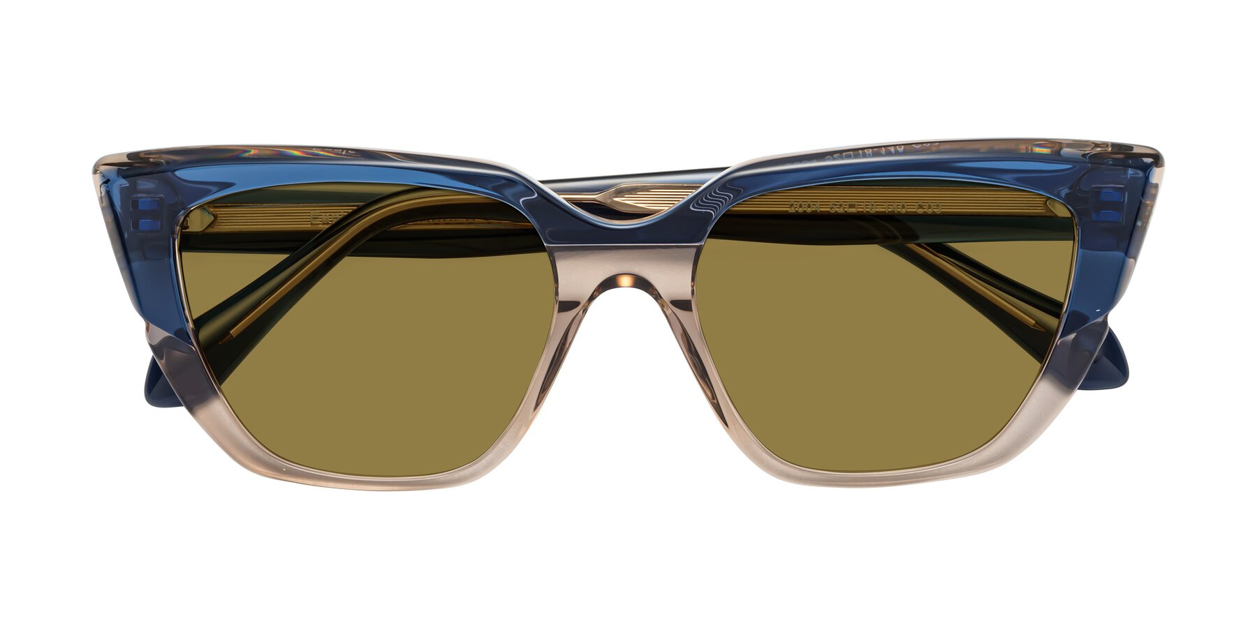 Folded Front of Eagle in Blue-Beige with Brown Polarized Lenses