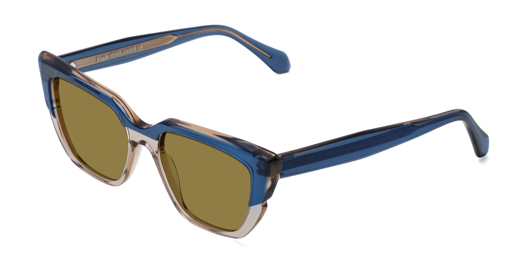 Angle of Eagle in Blue-Beige with Brown Polarized Lenses