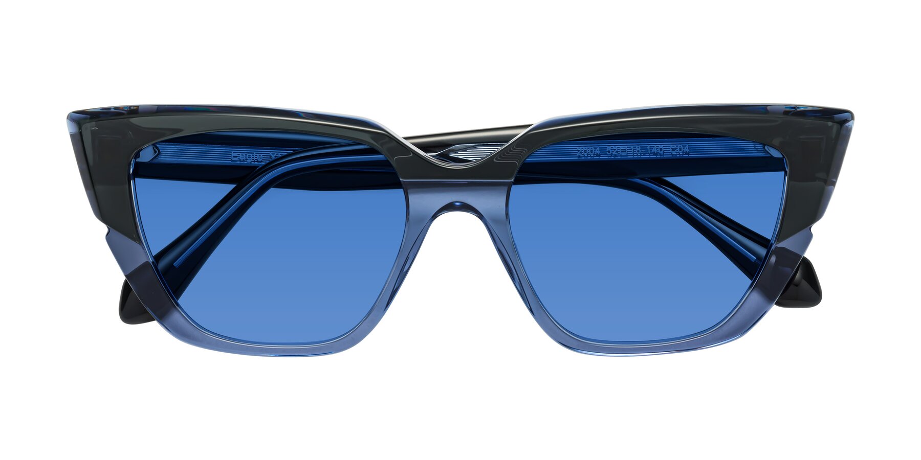 Folded Front of Eagle in Dark Green-Blue with Blue Tinted Lenses