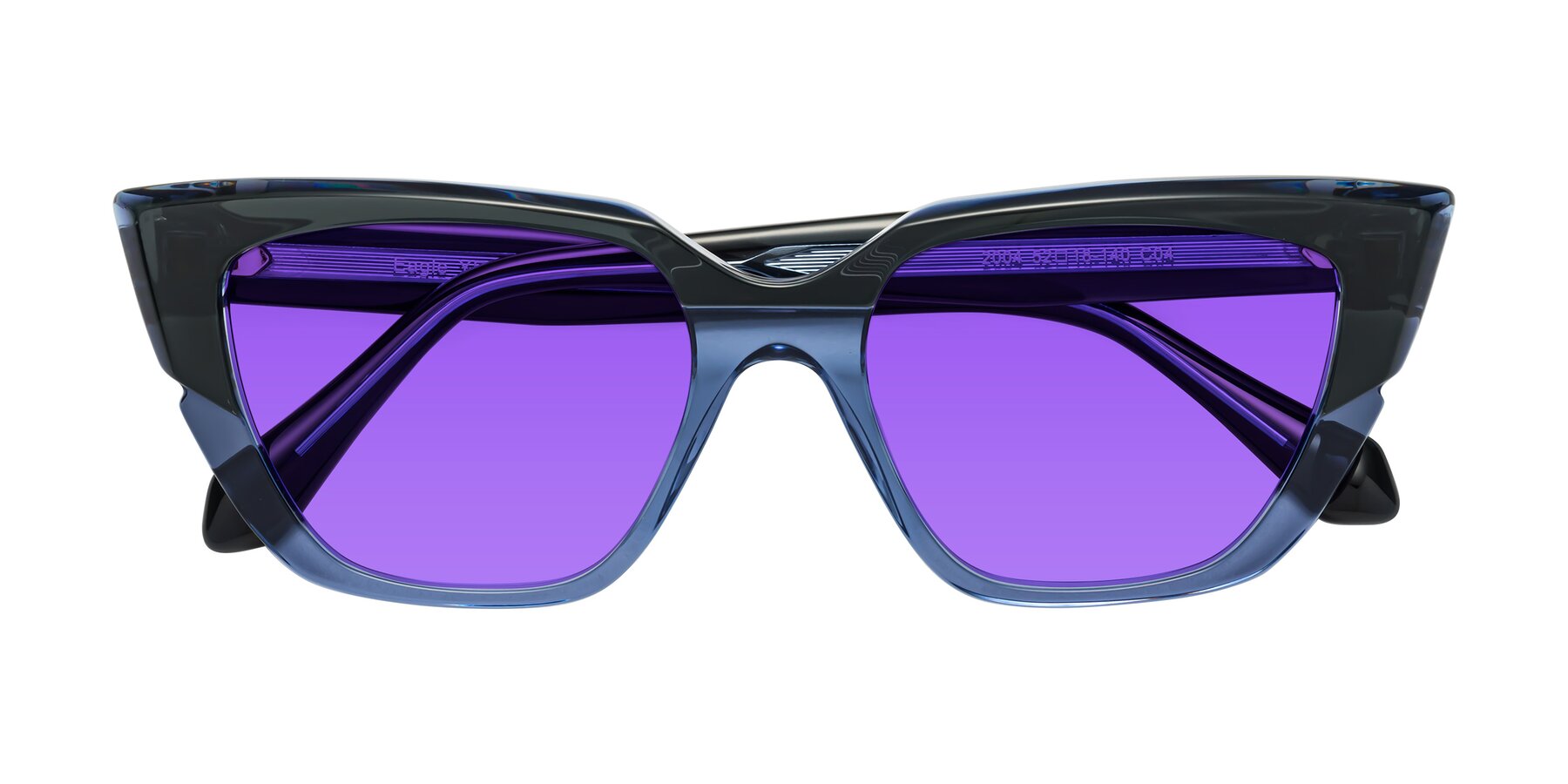 Folded Front of Eagle in Dark Green-Blue with Purple Tinted Lenses