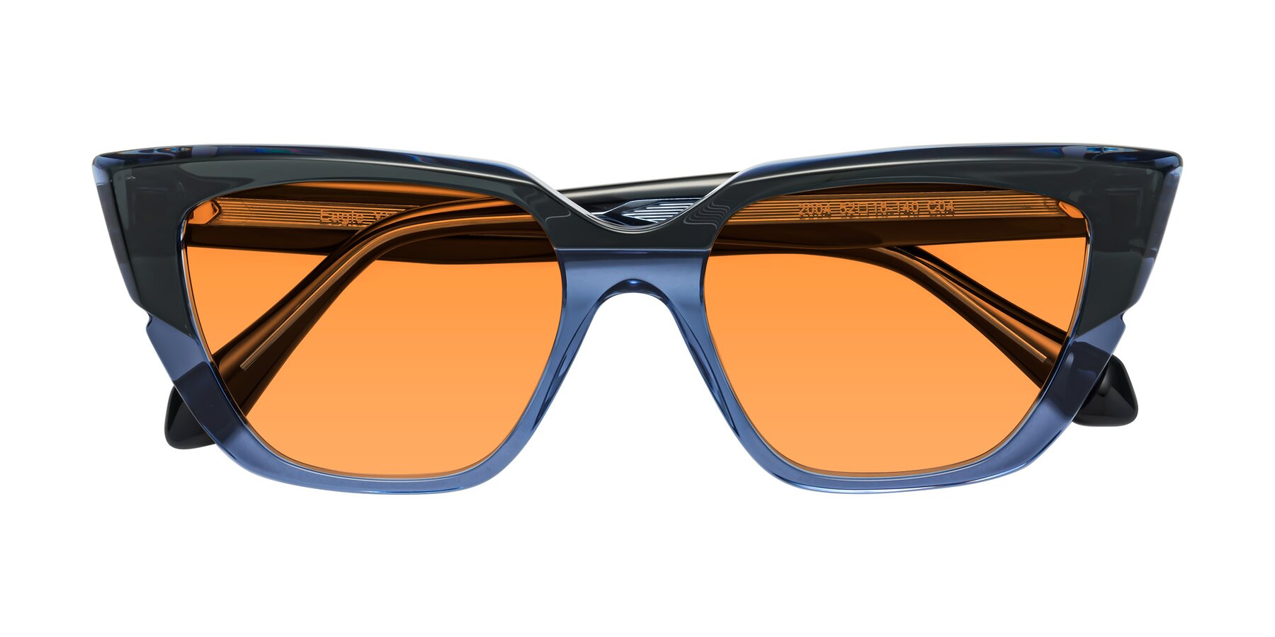 Folded Front of Eagle in Dark Green-Blue with Orange Tinted Lenses