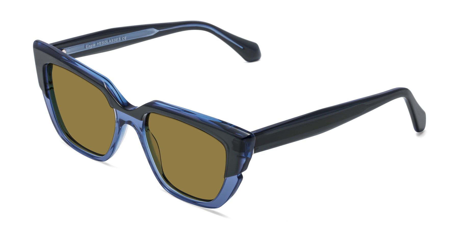 Angle of Eagle in Dark Green-Blue with Brown Polarized Lenses