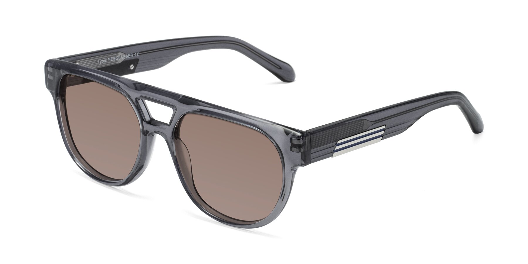 Angle of Lyon in Dim Gray with Medium Brown Tinted Lenses