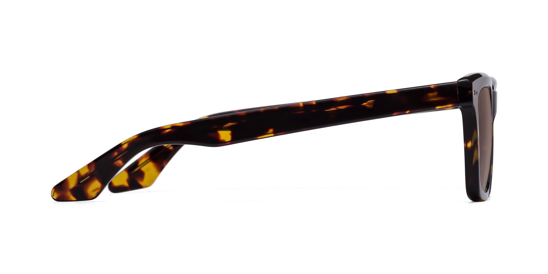 Side of Martia in Tortoise with Medium Brown Tinted Lenses