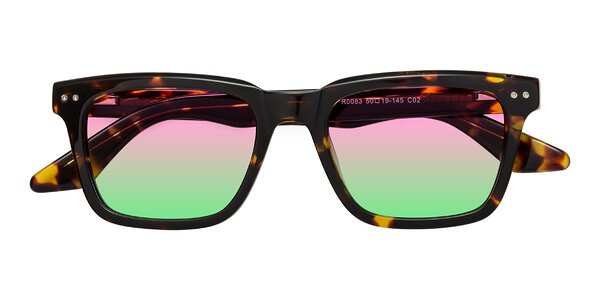 Front of Martia in Tortoise