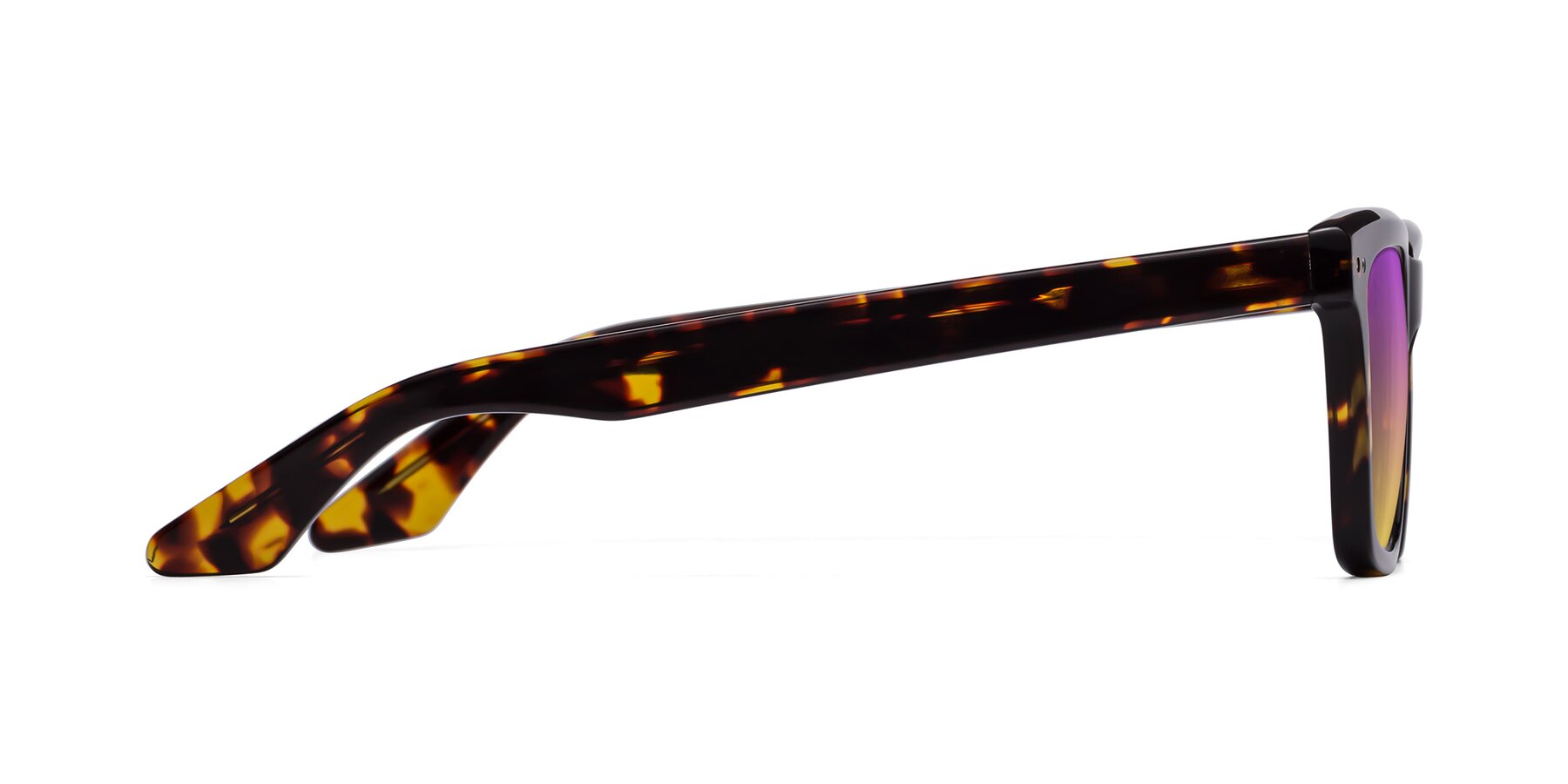 Side of Martia in Tortoise with Purple / Yellow Gradient Lenses