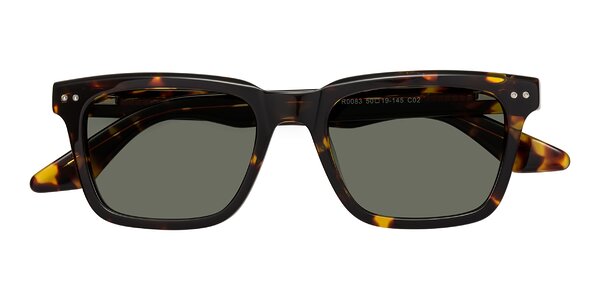 Front of Martia in Tortoise