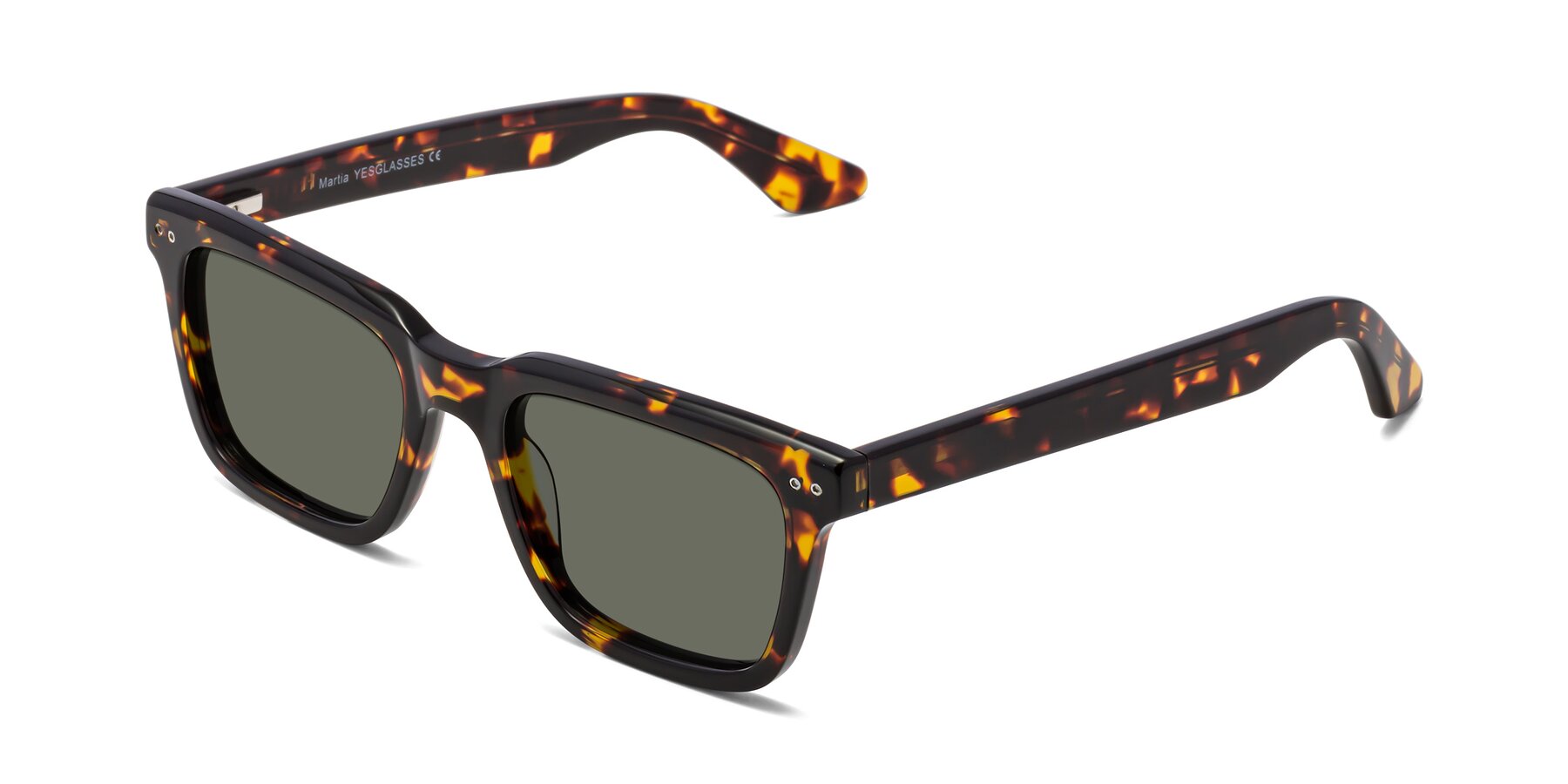 Angle of Martia in Tortoise with Gray Polarized Lenses