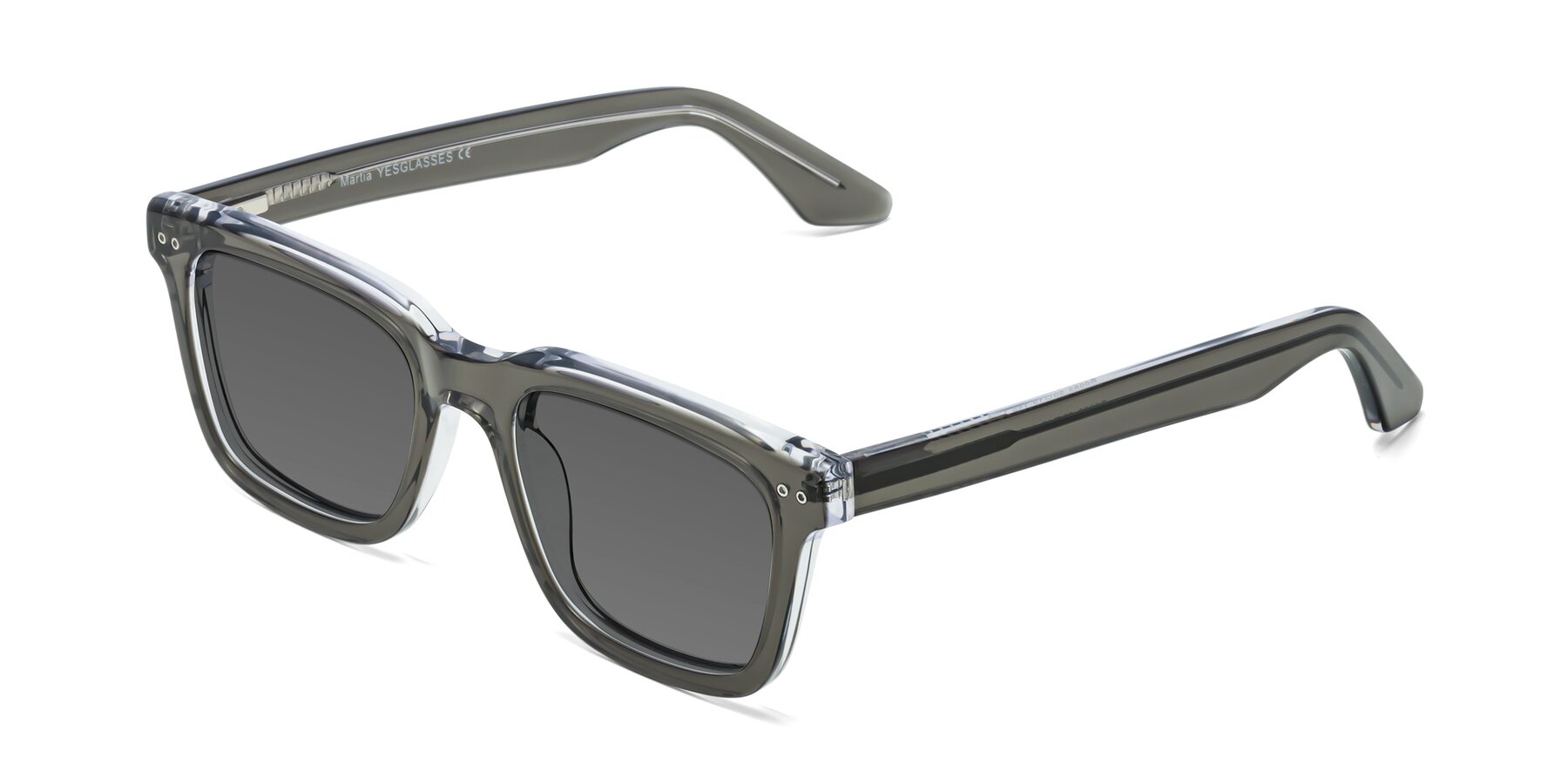 Angle of Martia in Gray-Clear with Medium Gray Tinted Lenses