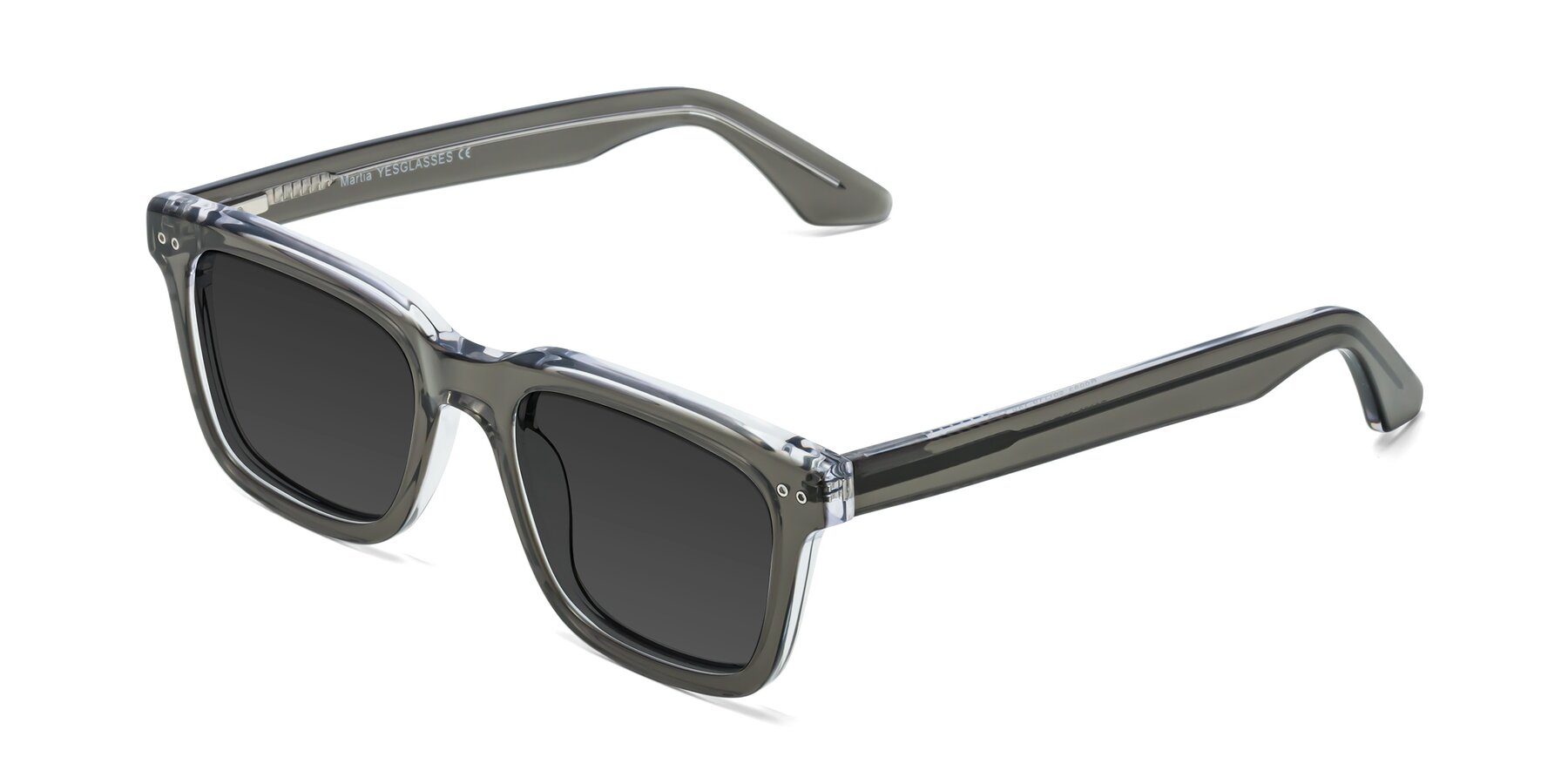 Angle of Martia in Gray-Clear with Gray Tinted Lenses