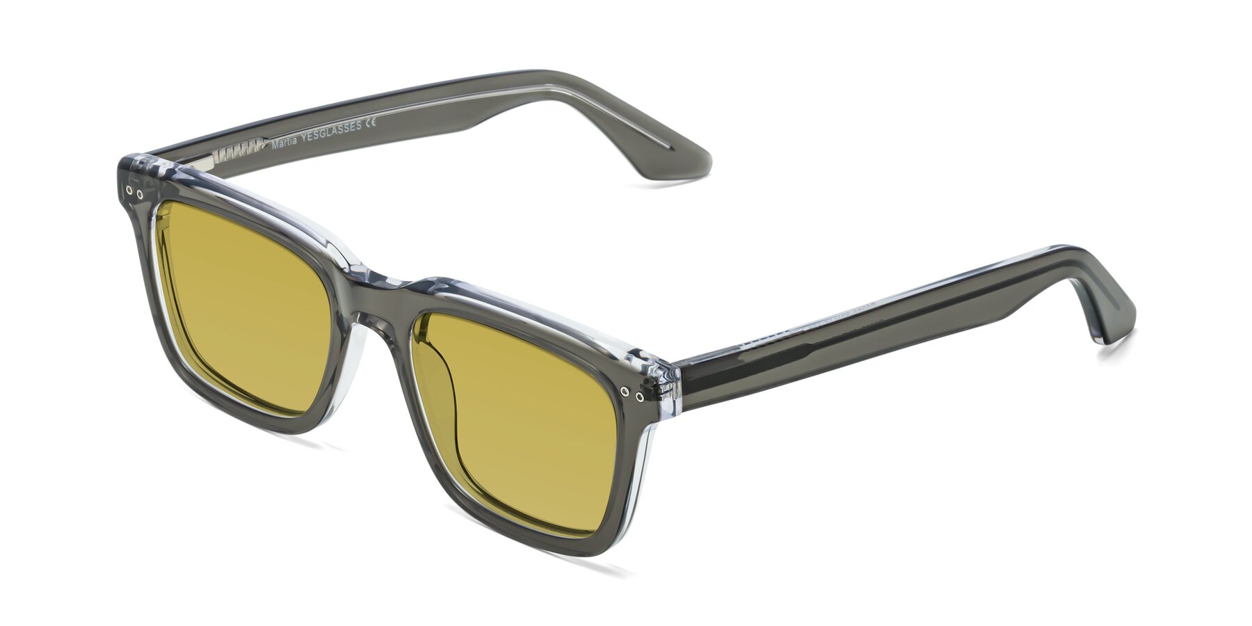 Angle of Martia in Gray-Clear with Champagne Tinted Lenses