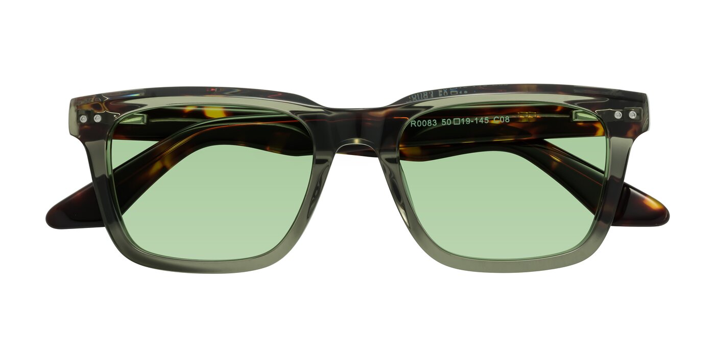 Martia - Transparent Green / Tortoise Tinted Sunglasses