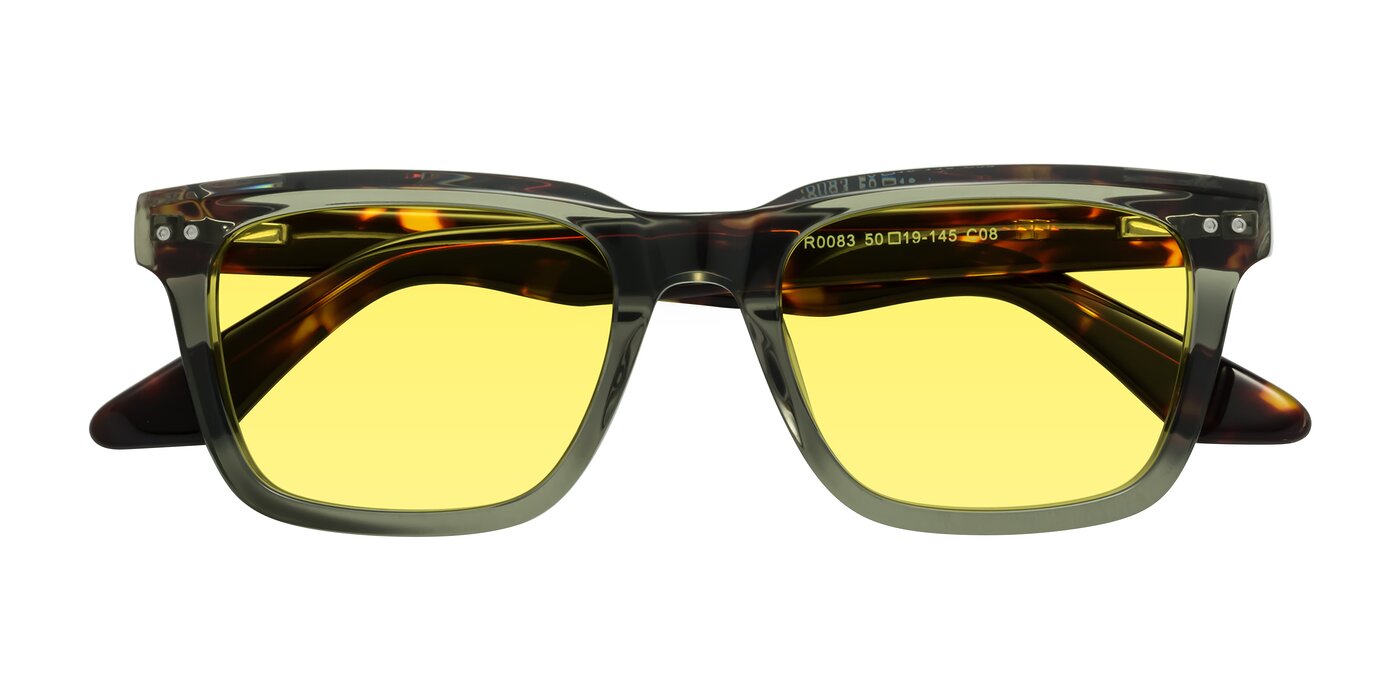 Martia - Transparent Green/Tortoise Tinted Sunglasses